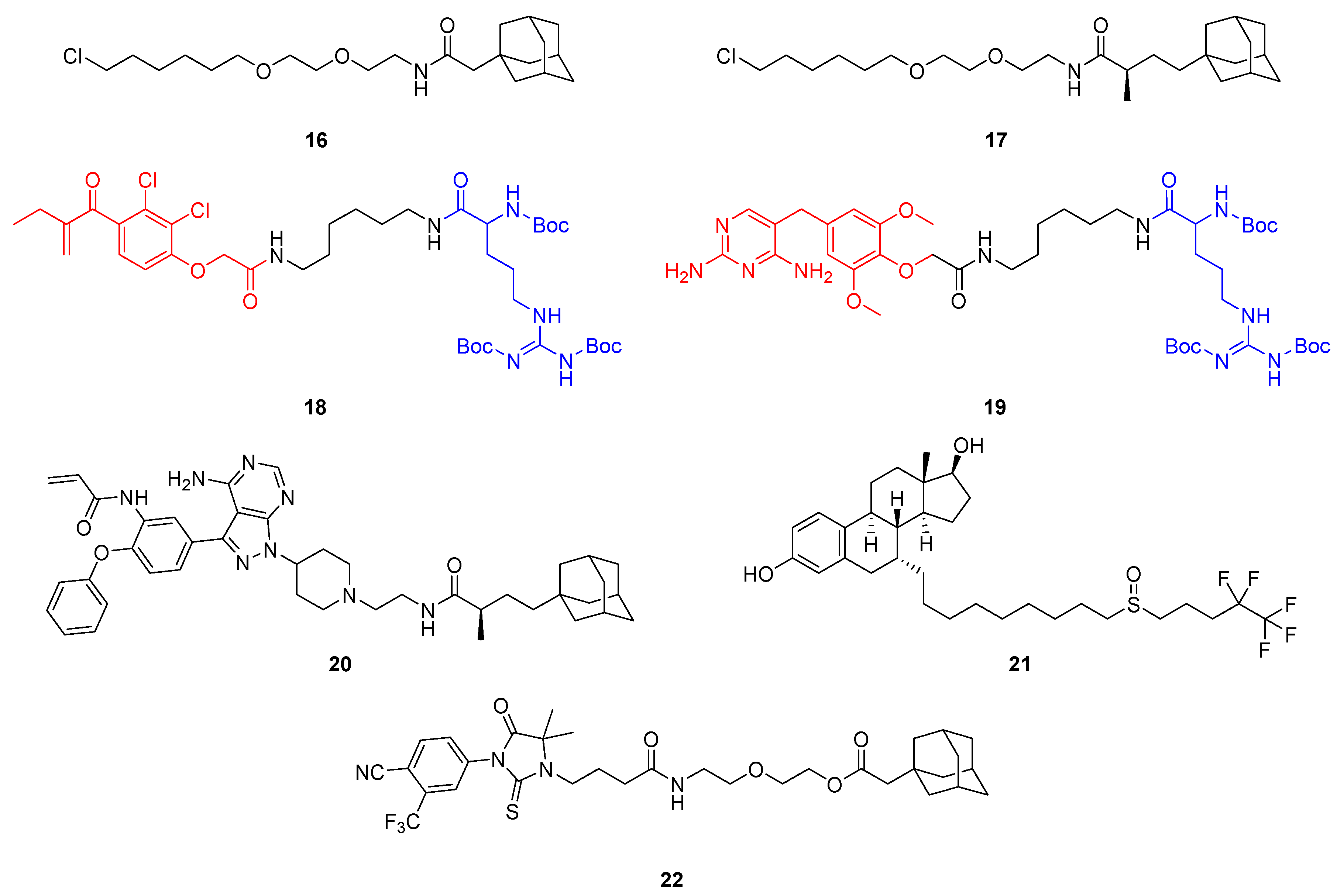 Molecules 28 00690 g013 Molecules 28 00690 g013