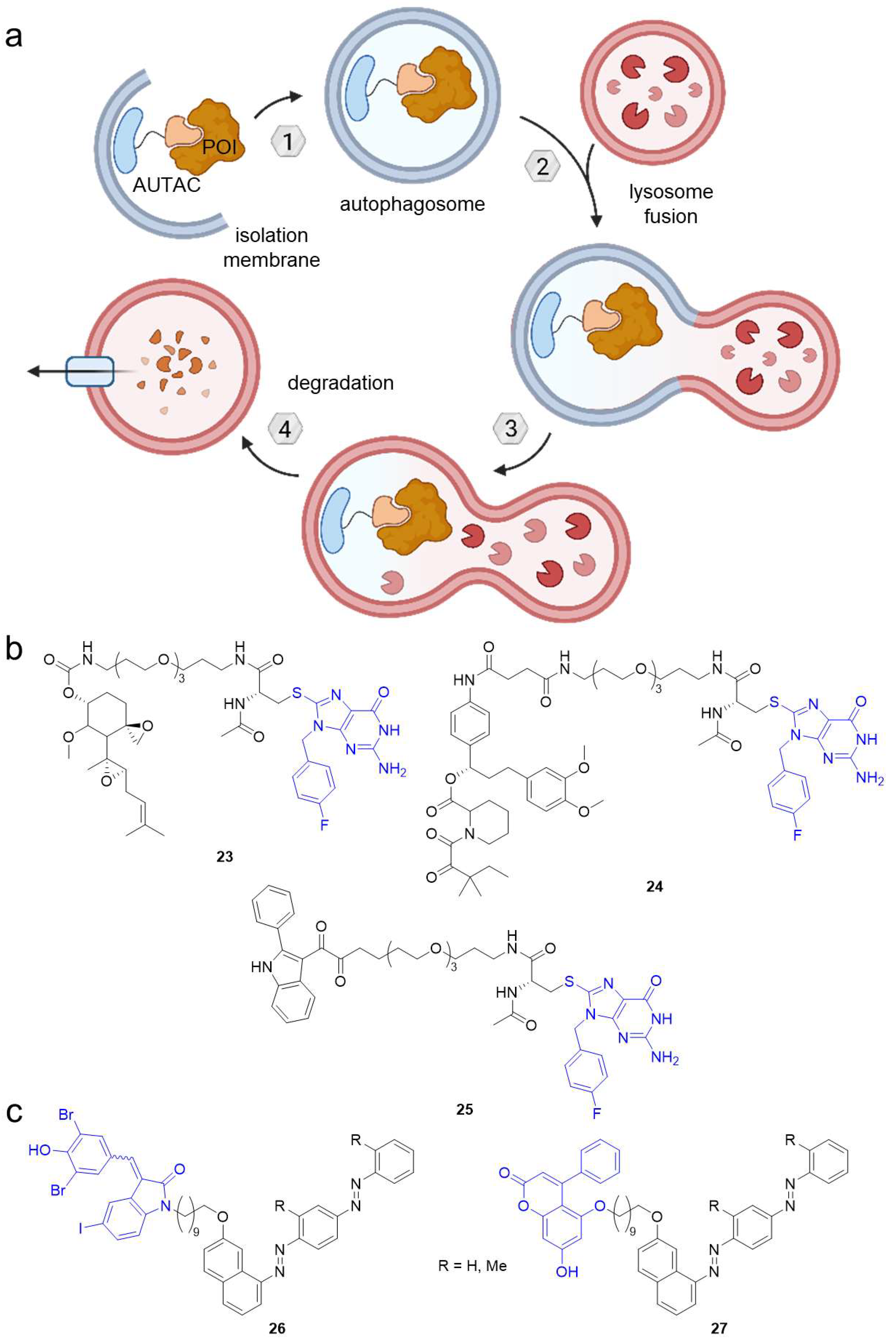 Molecules 28 00690 g014 Molecules 28 00690 g014