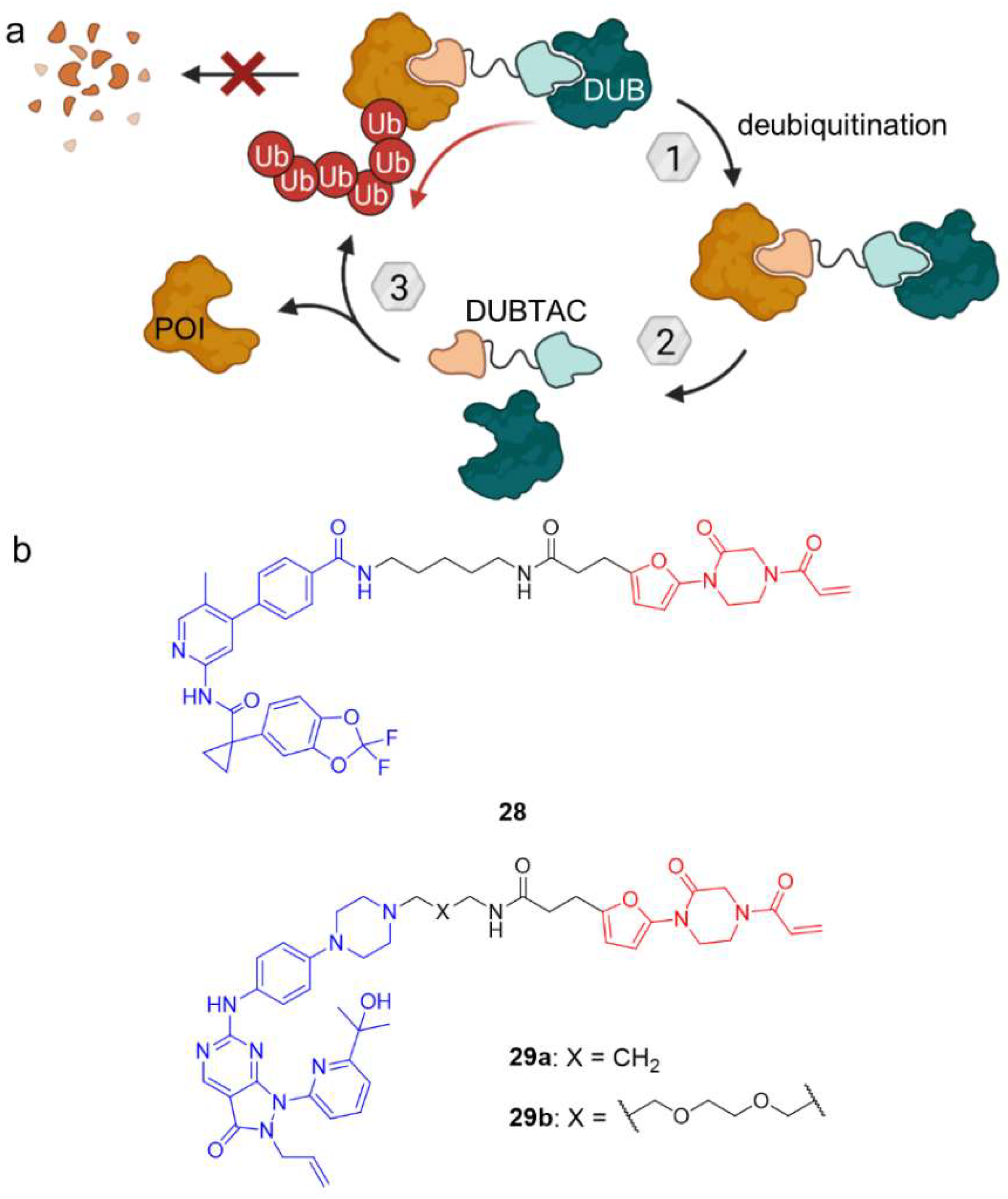 Molecules 28 00690 g015 Molecules 28 00690 g015