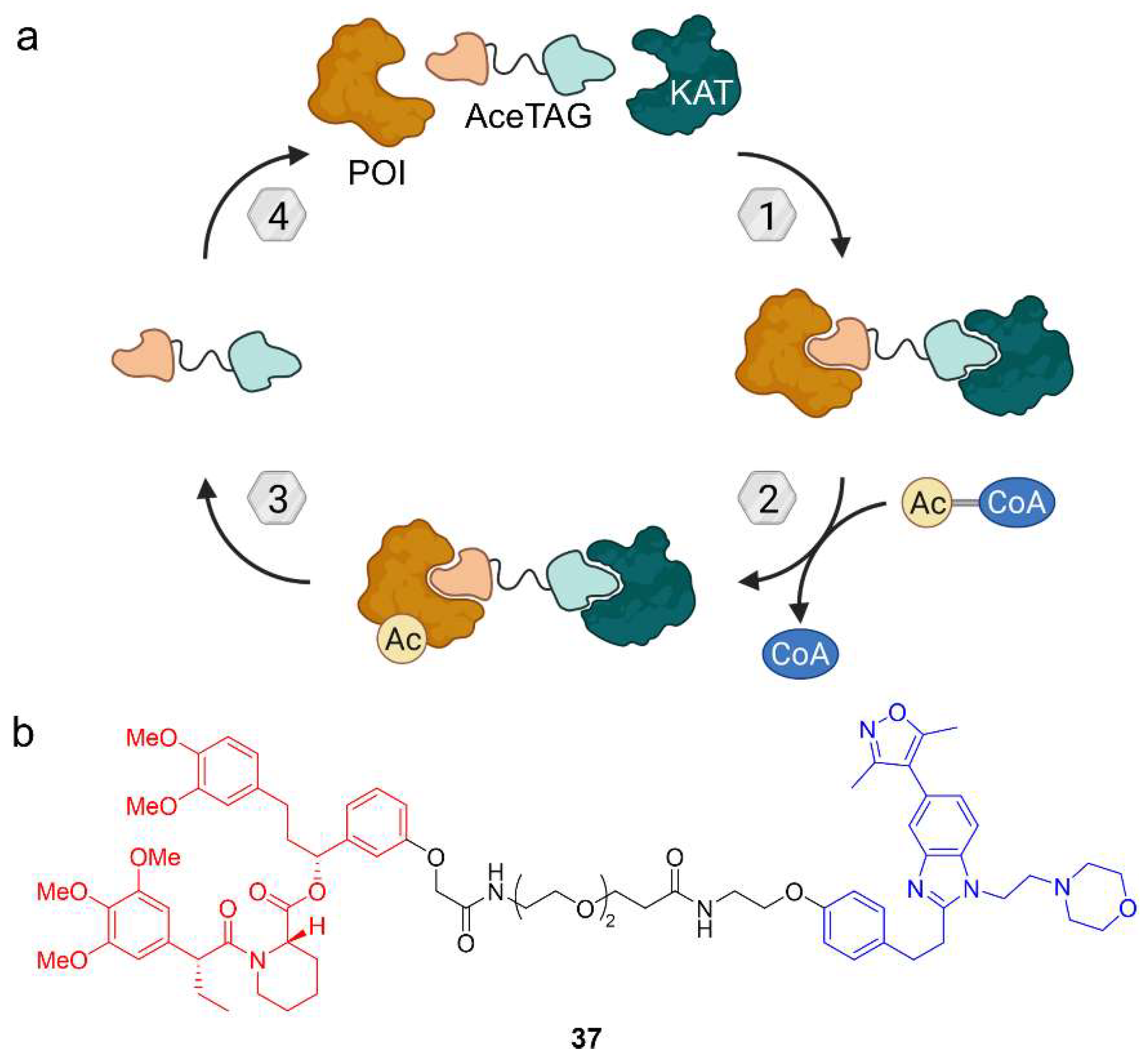 Molecules 28 00690 g019 Molecules 28 00690 g019