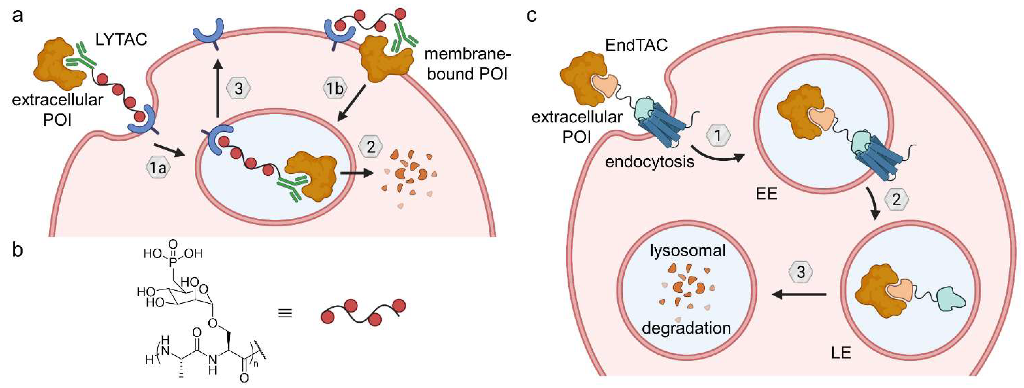 Molecules 28 00690 g020 Molecules 28 00690 g020