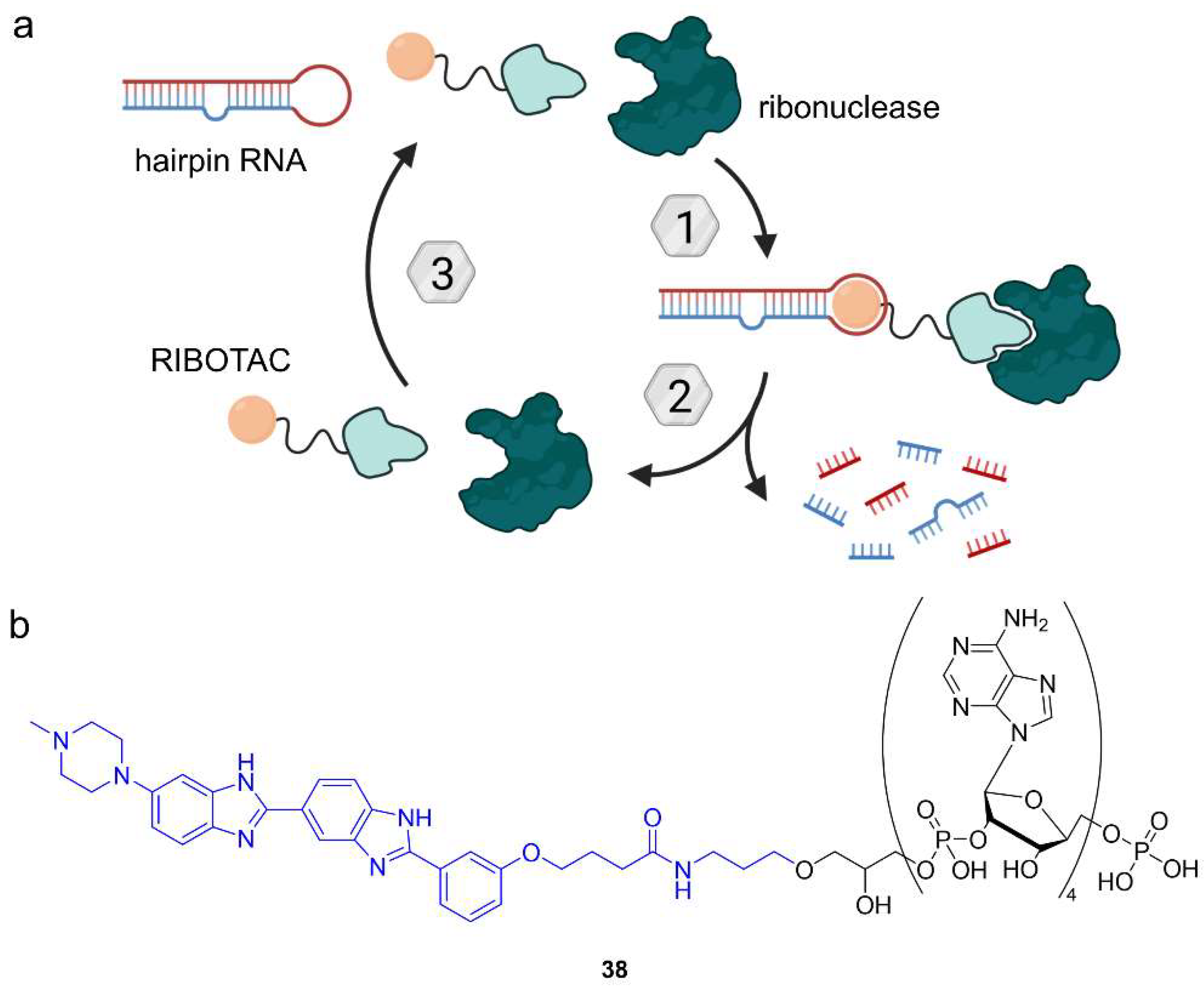 Molecules 28 00690 g021 Molecules 28 00690 g021