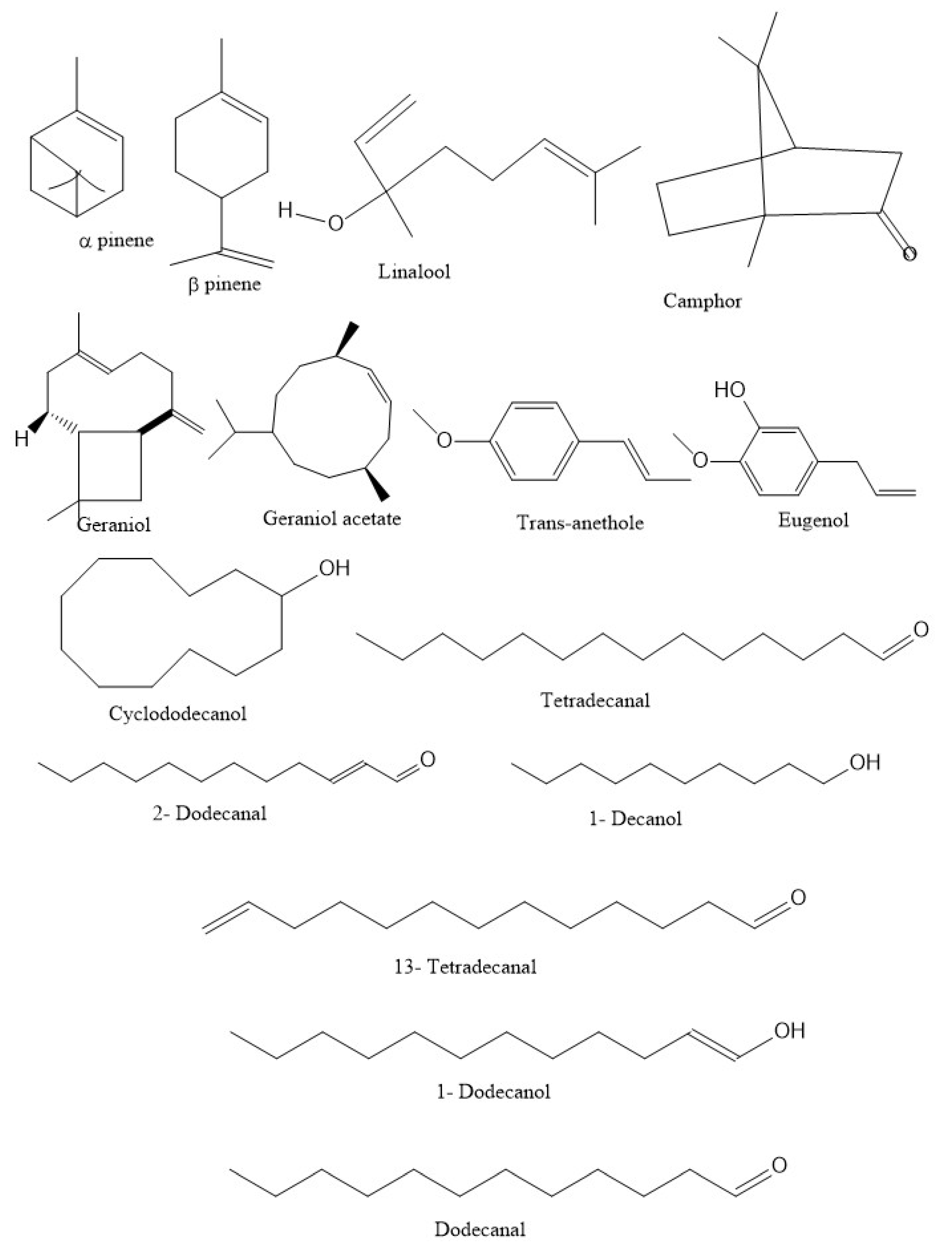 Molecules Free FullText Essential Oil from Coriandrum sativum A