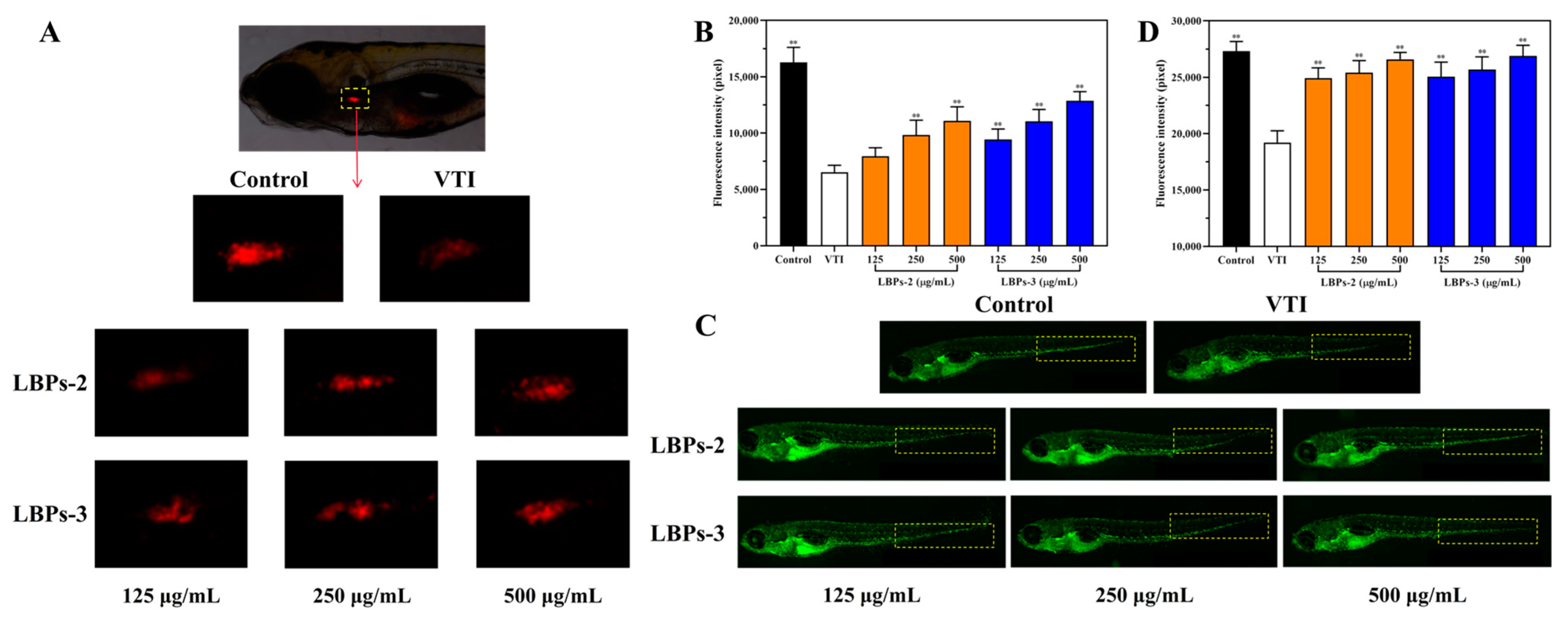 Molecules 28 00701 g009