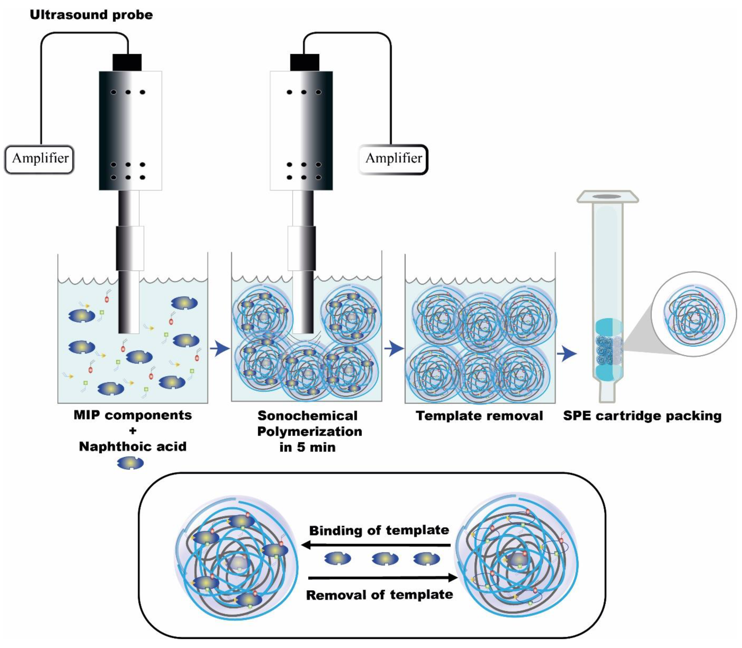 Molecules 28 00703 sch001