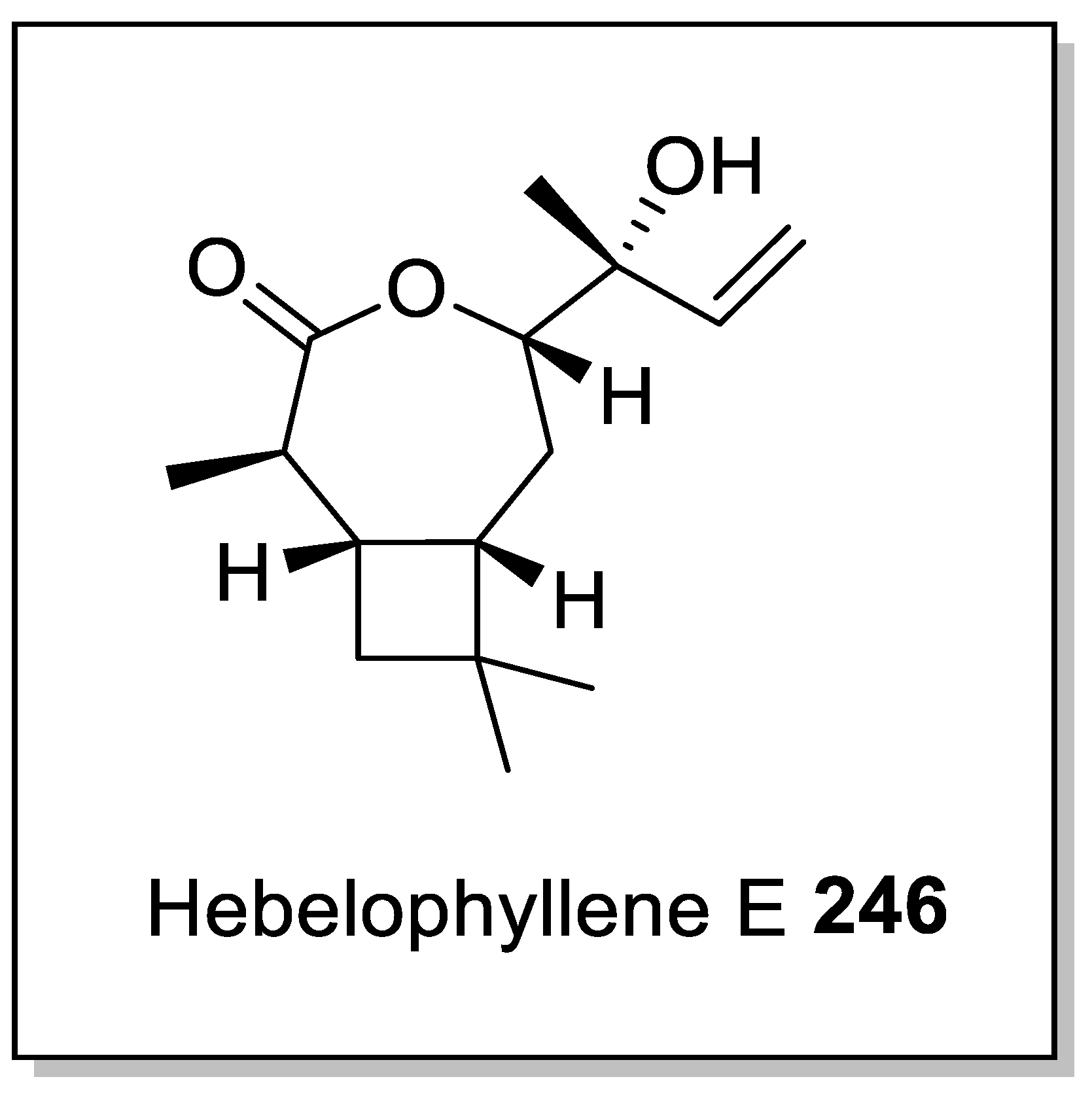 Molecules 28 00704 g007 Molecules 28 00704 g007