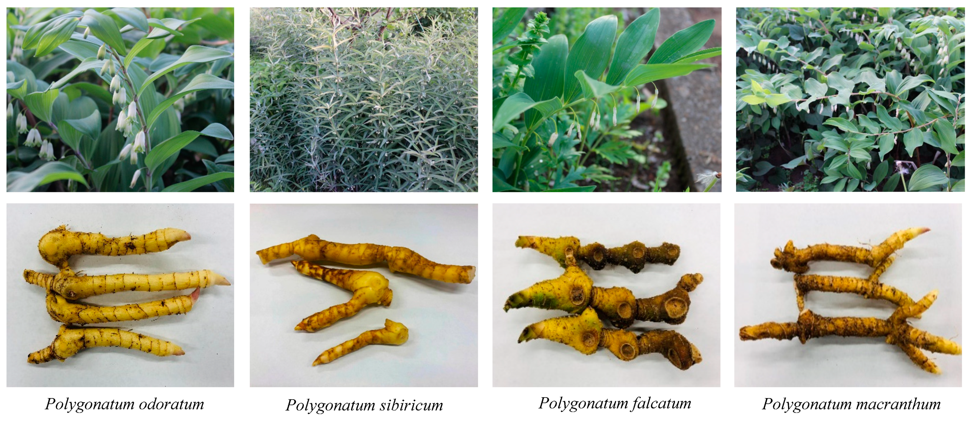 Molecules 28 00705 g005