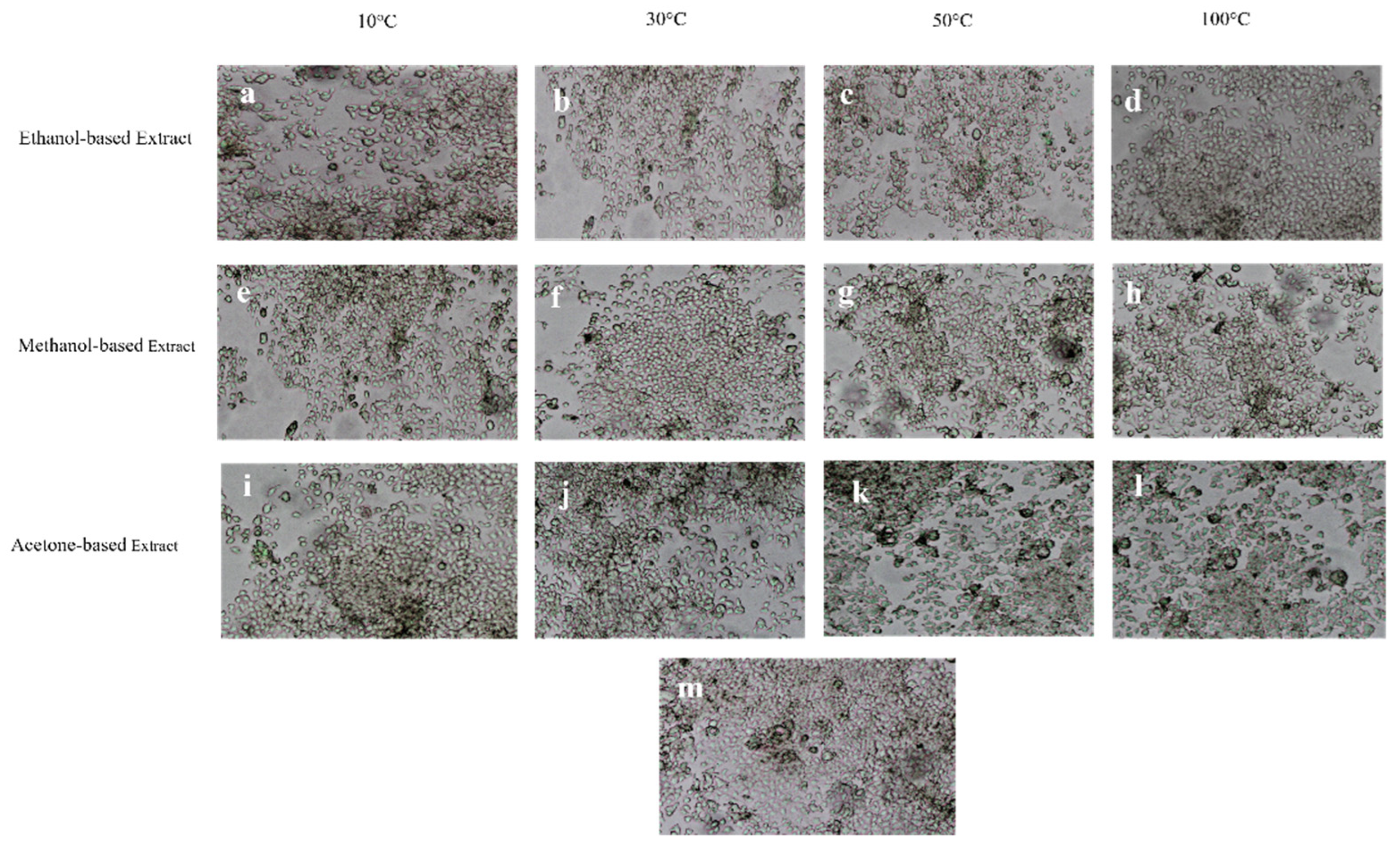 Molecules 28 00710 g004 Molecules 28 00710 g004