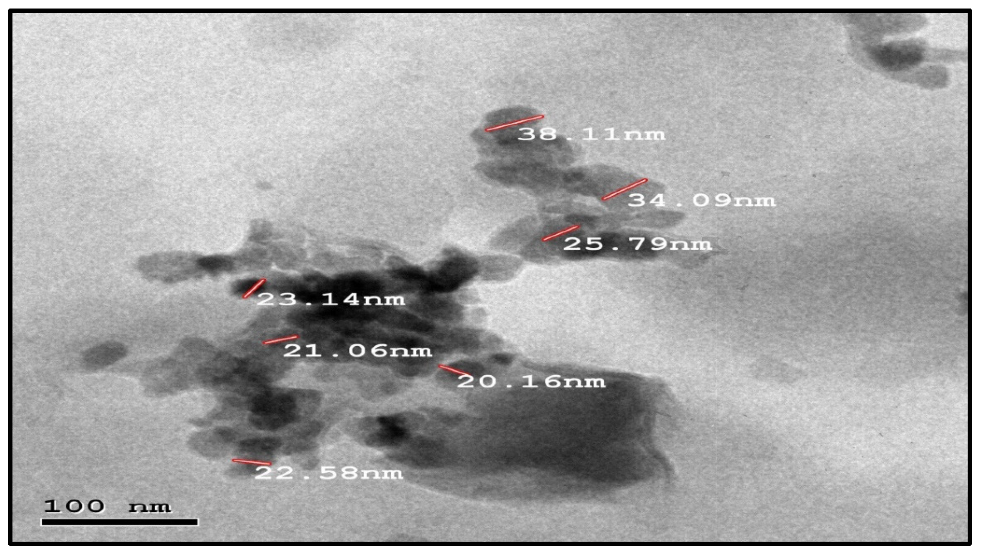 Molecules 28 00711 g006 Molecules 28 00711 g006