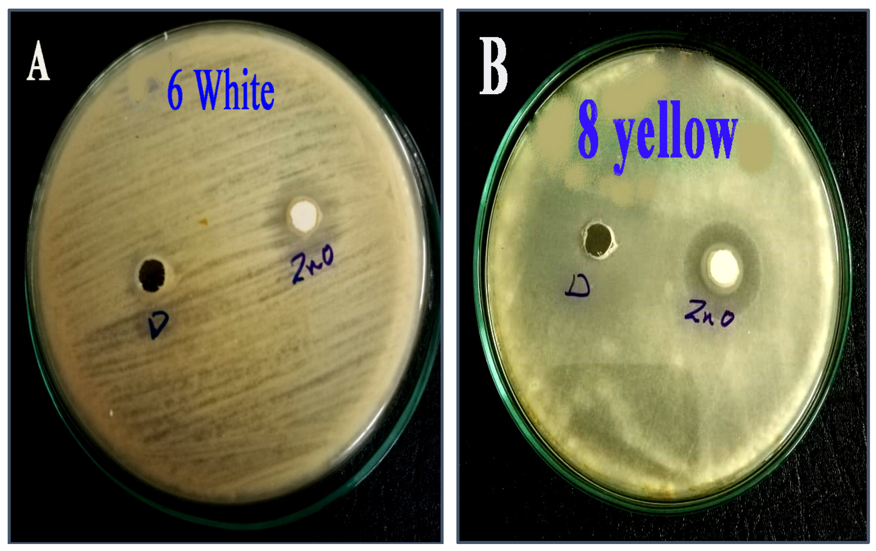Molecules 28 00711 g008 Molecules 28 00711 g008