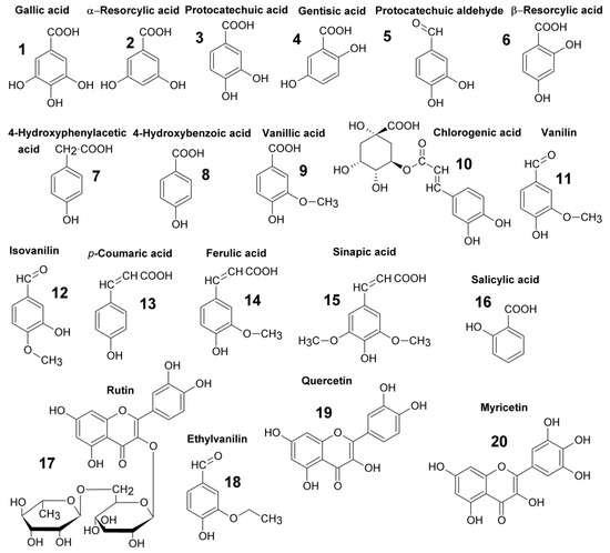 Effect of Liquefaction of Honey on the Content of Phenolic Compounds