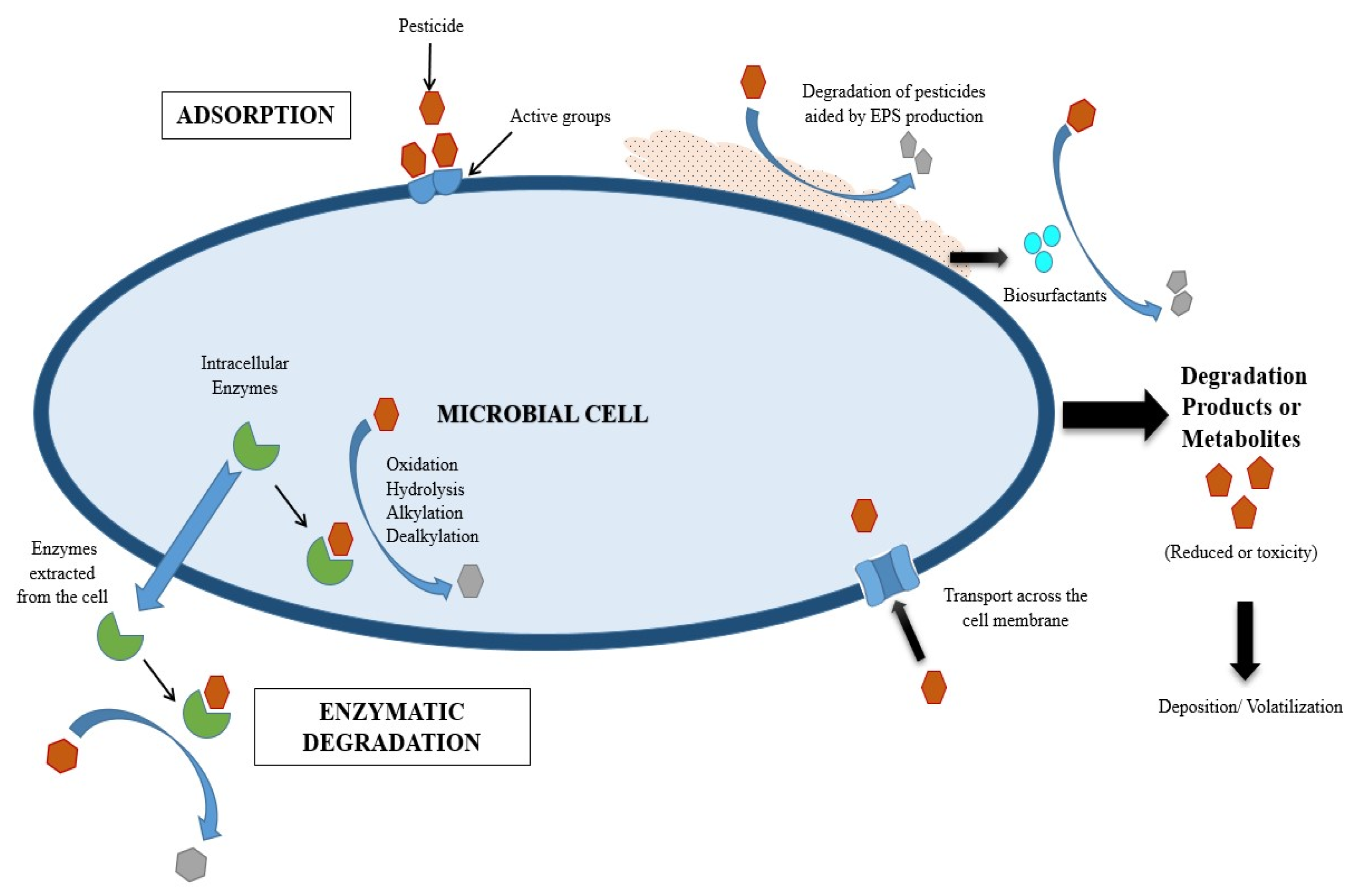 Molecules 28 00719 g007