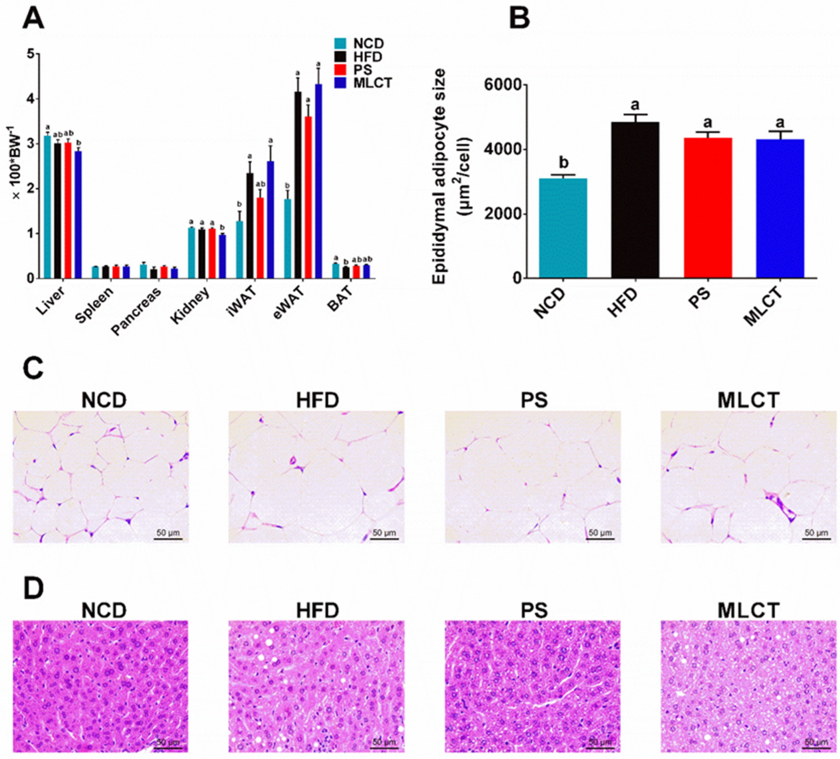 Molecules 28 00722 g002