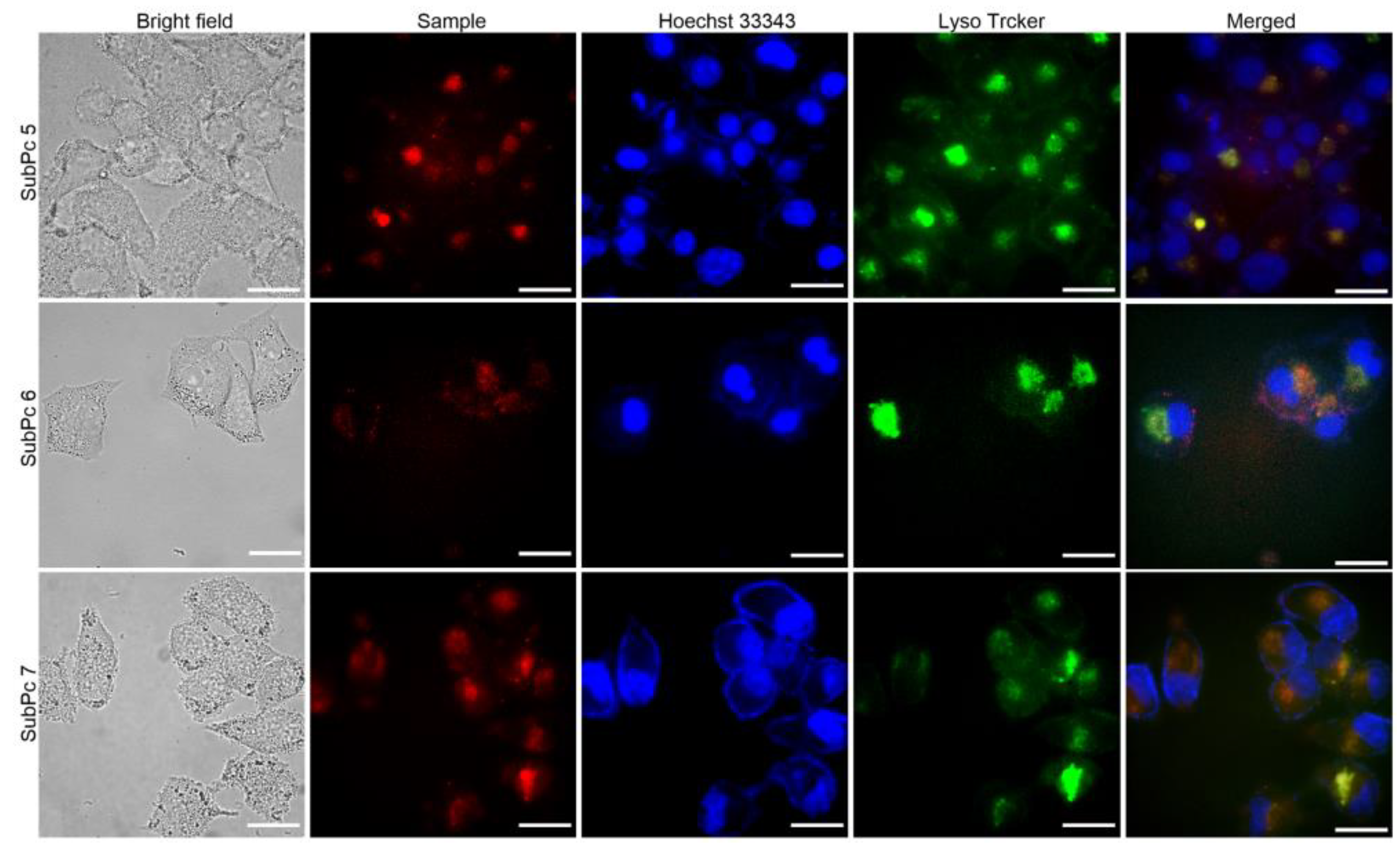 Molecules 28 00725 g005 Molecules 28 00725 g005