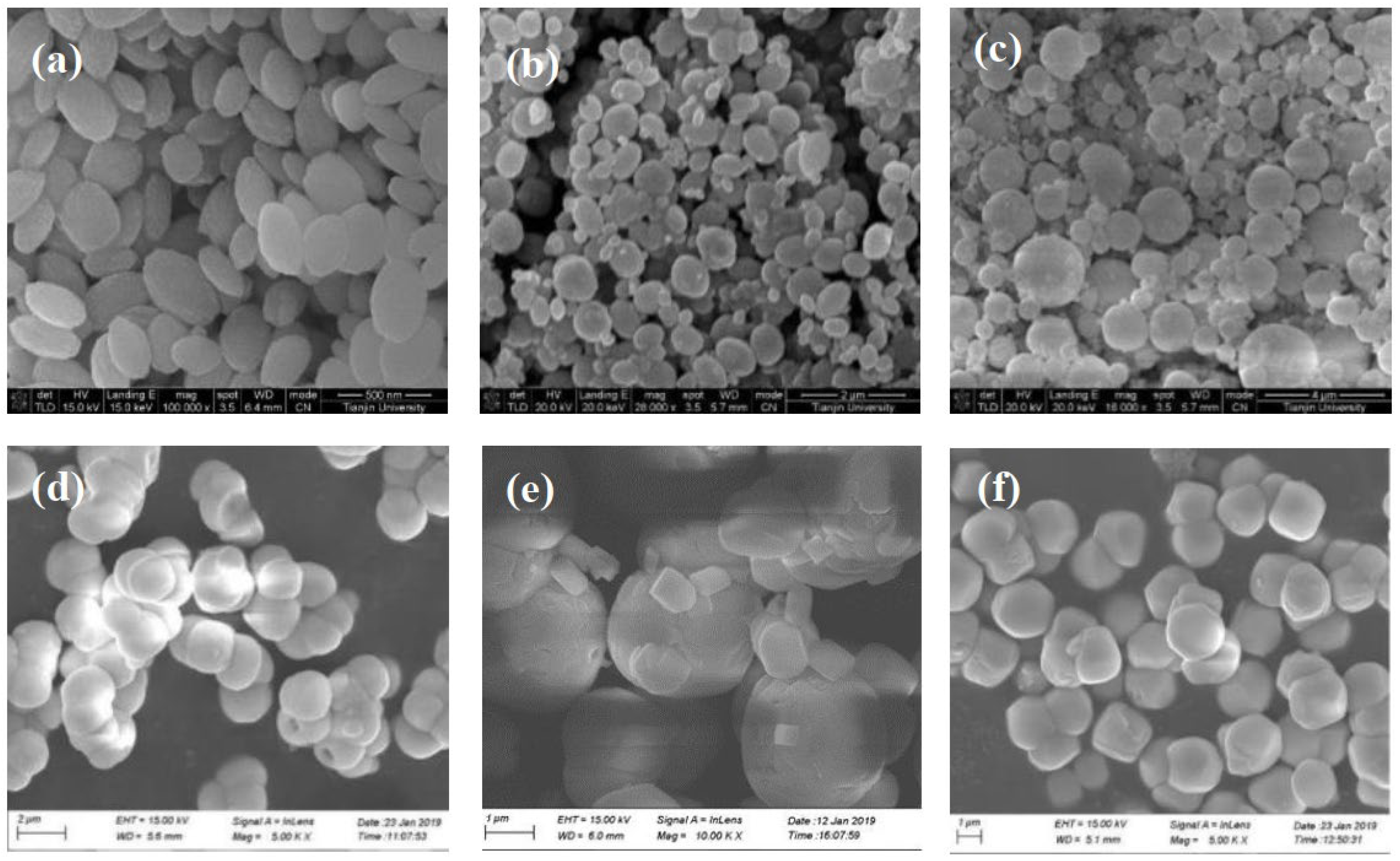 Molecules 28 00726 g005 Molecules 28 00726 g005