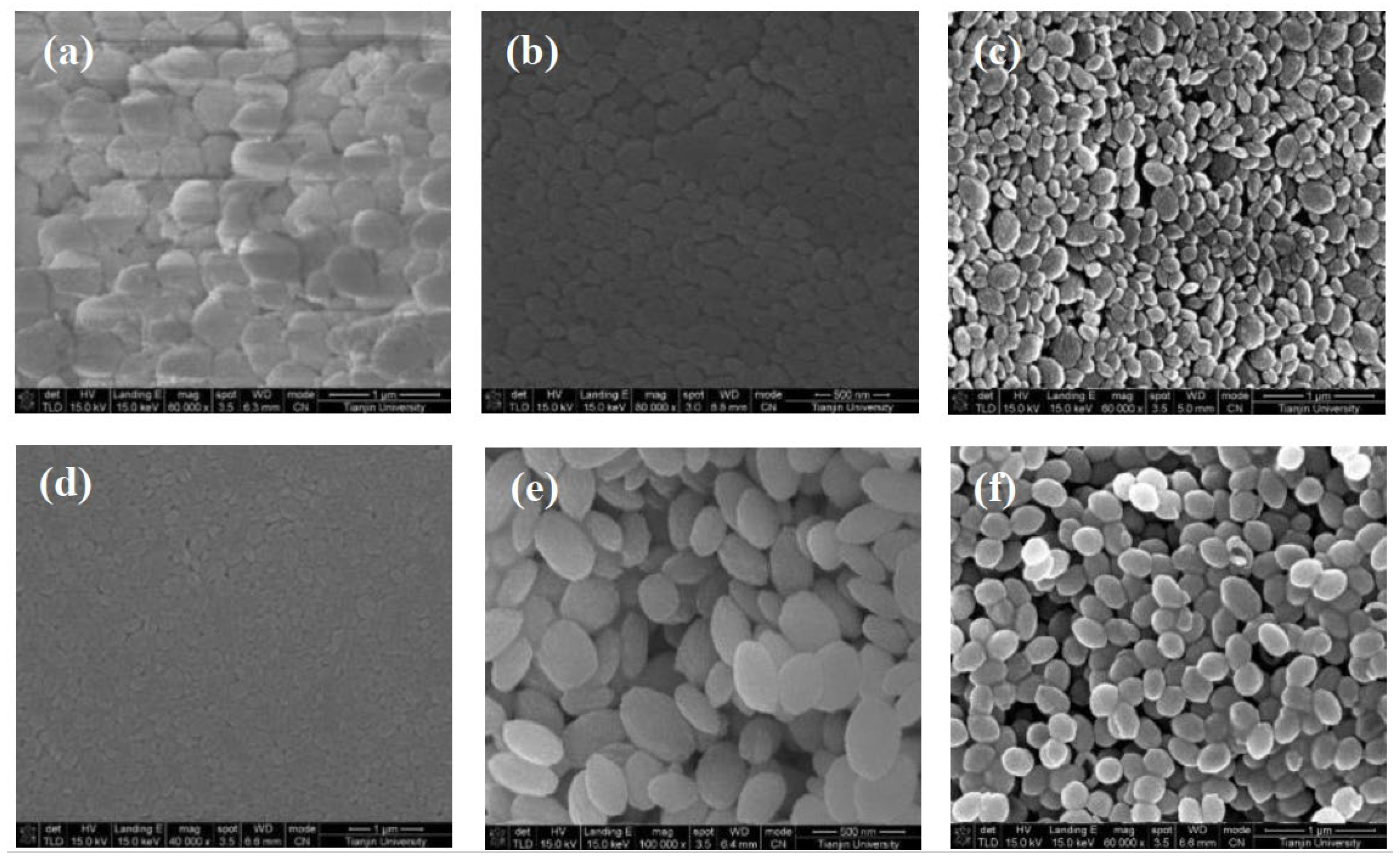 Molecules 28 00726 g007 Molecules 28 00726 g007