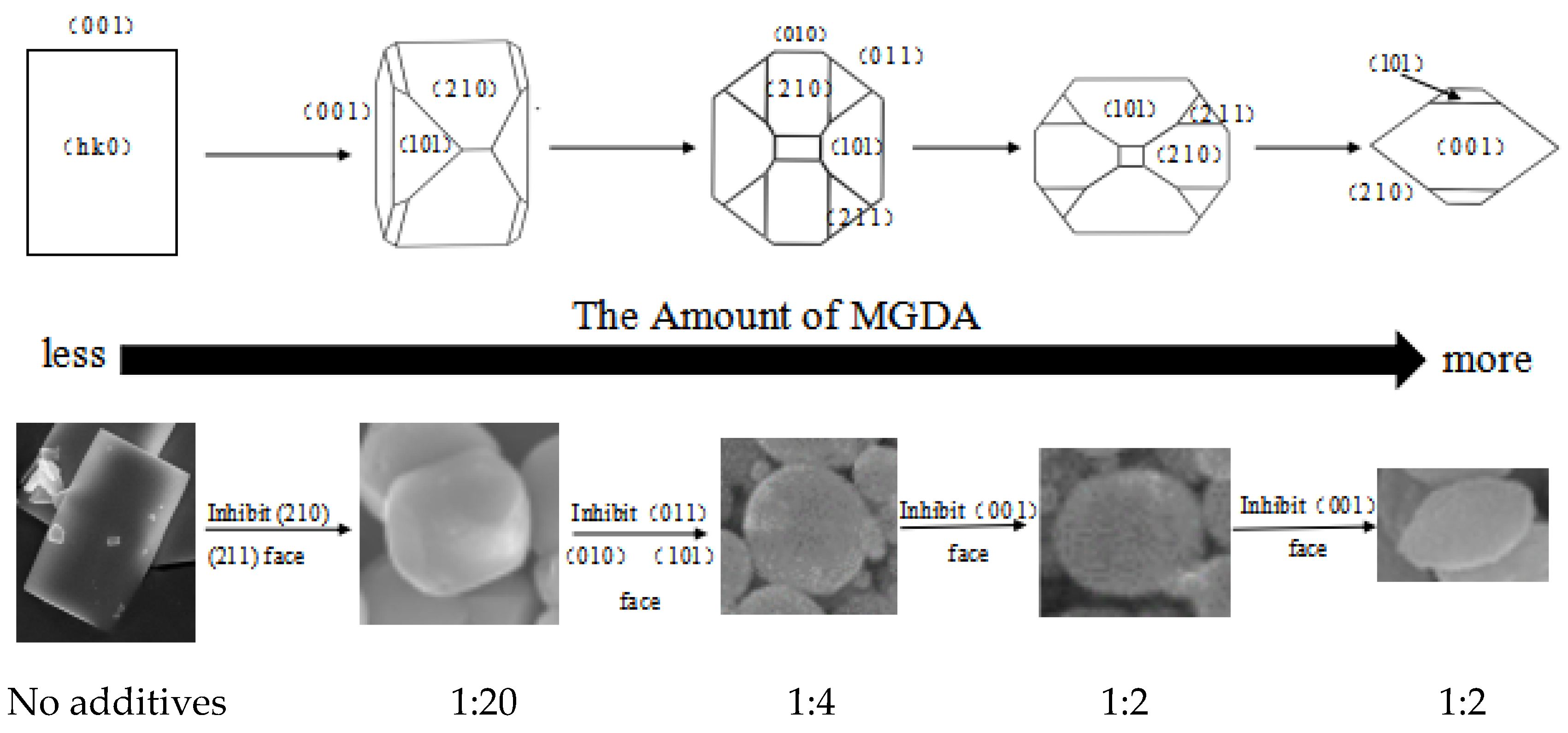 Molecules 28 00726 g014 Molecules 28 00726 g014