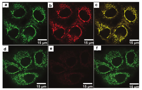 Recent Advances in N-Heterocyclic Small Molecules for