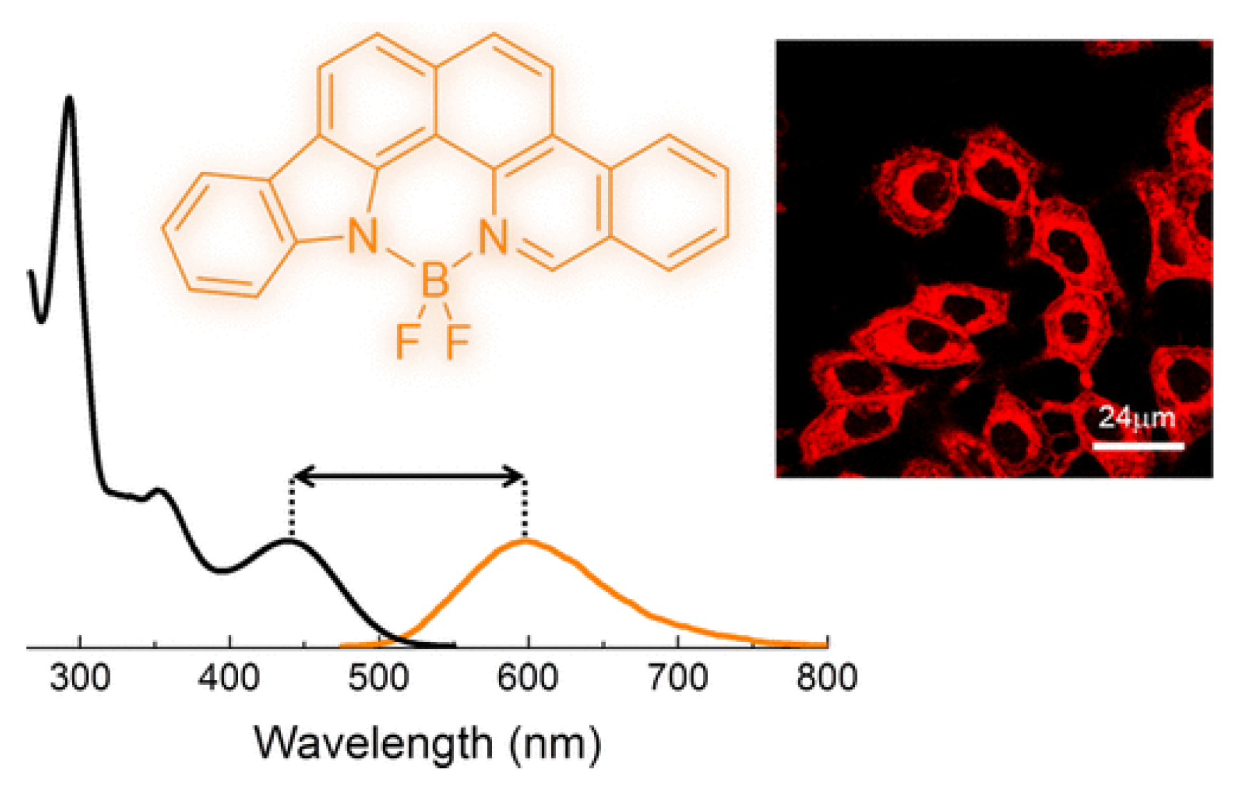 Molecules 28 00733 g006 Molecules 28 00733 g006