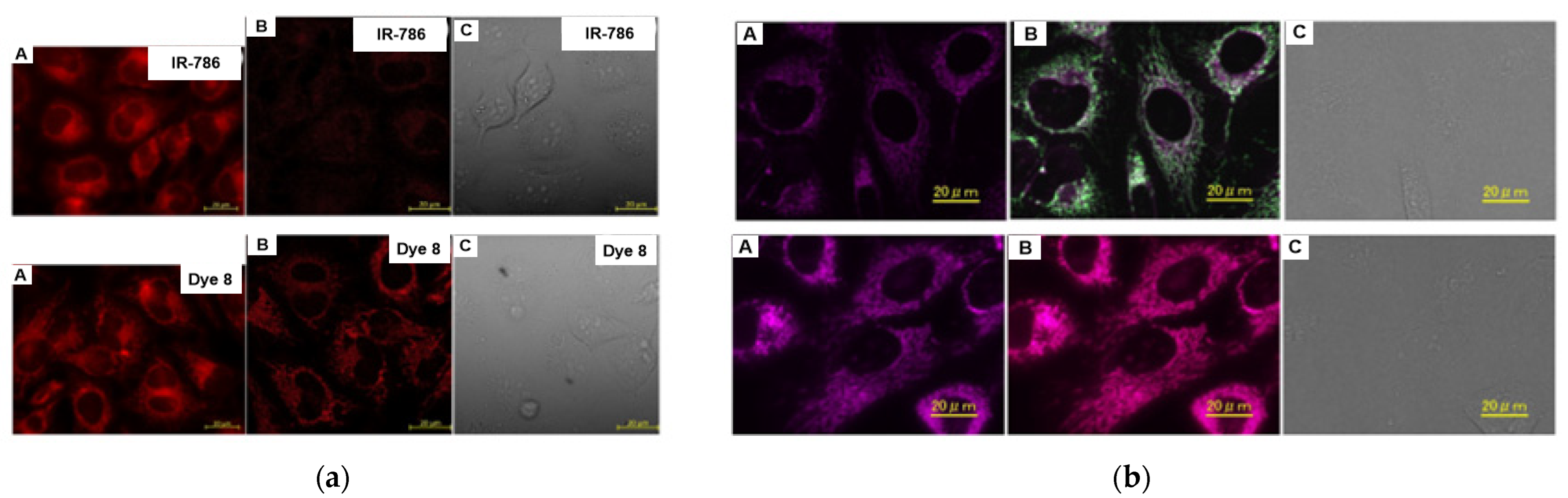 Molecules 28 00733 g008 Molecules 28 00733 g008