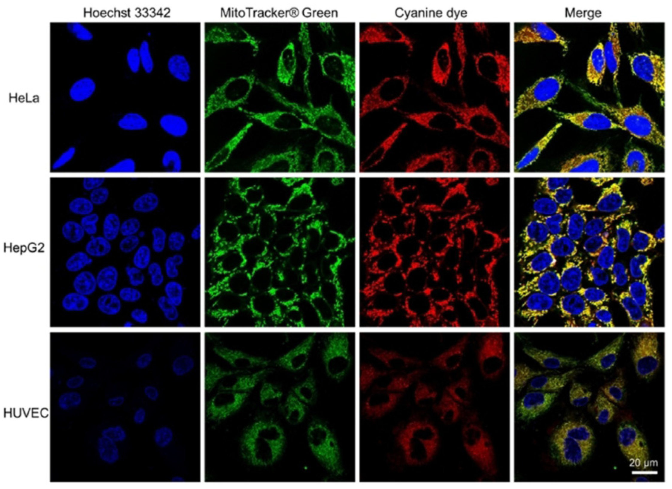 Molecules 28 00733 g009 Molecules 28 00733 g009