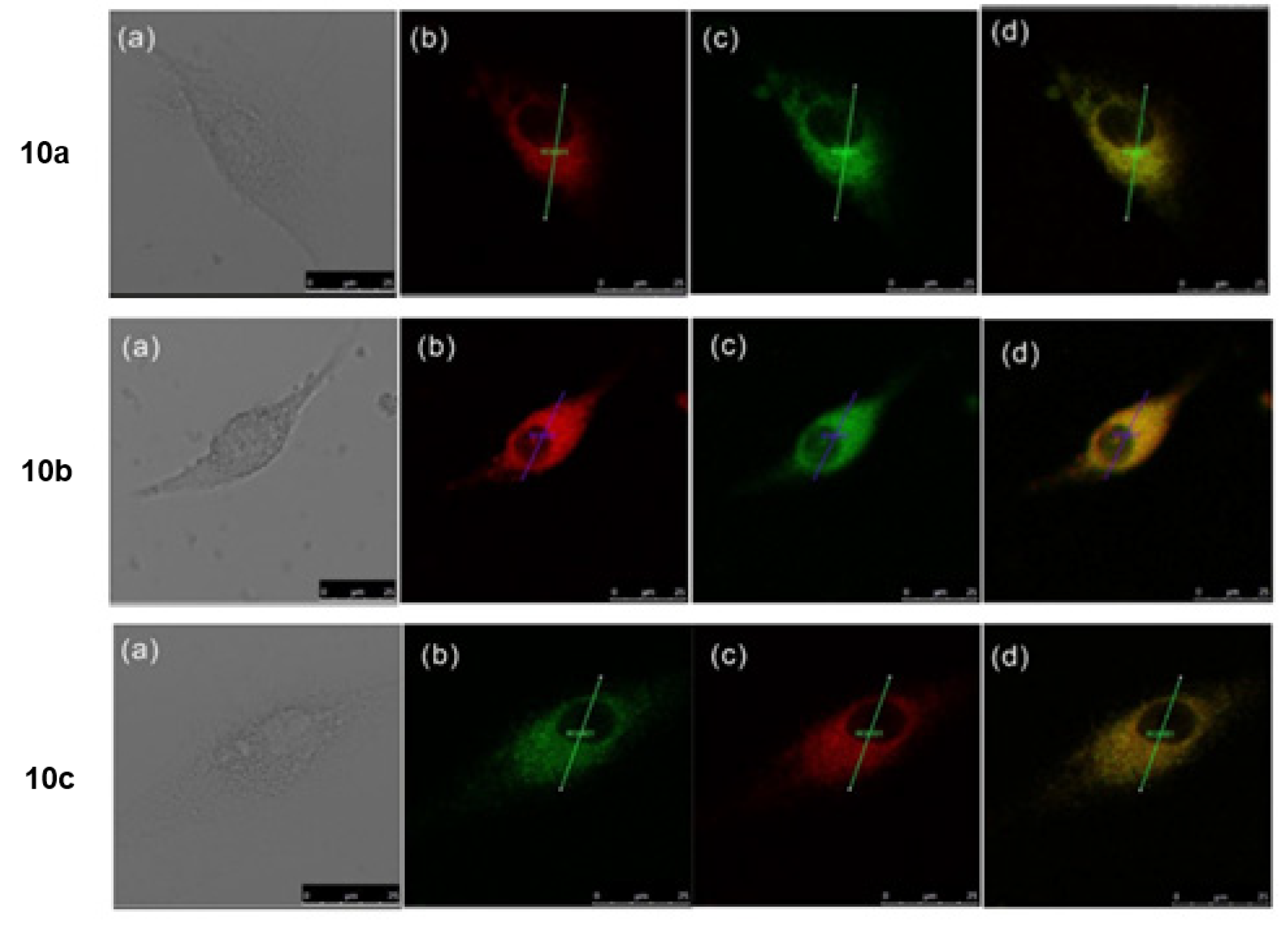 Molecules 28 00733 g010 Molecules 28 00733 g010
