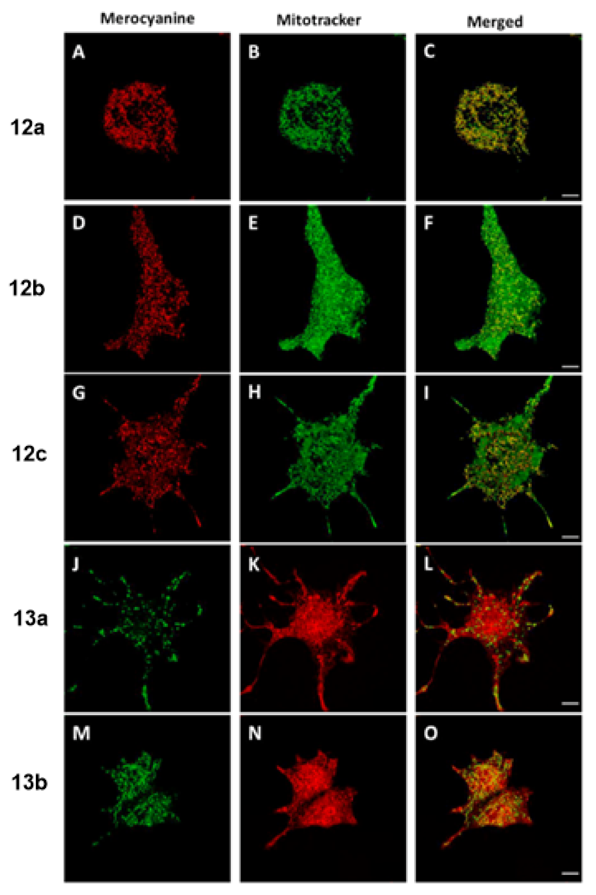 Molecules 28 00733 g011 Molecules 28 00733 g011