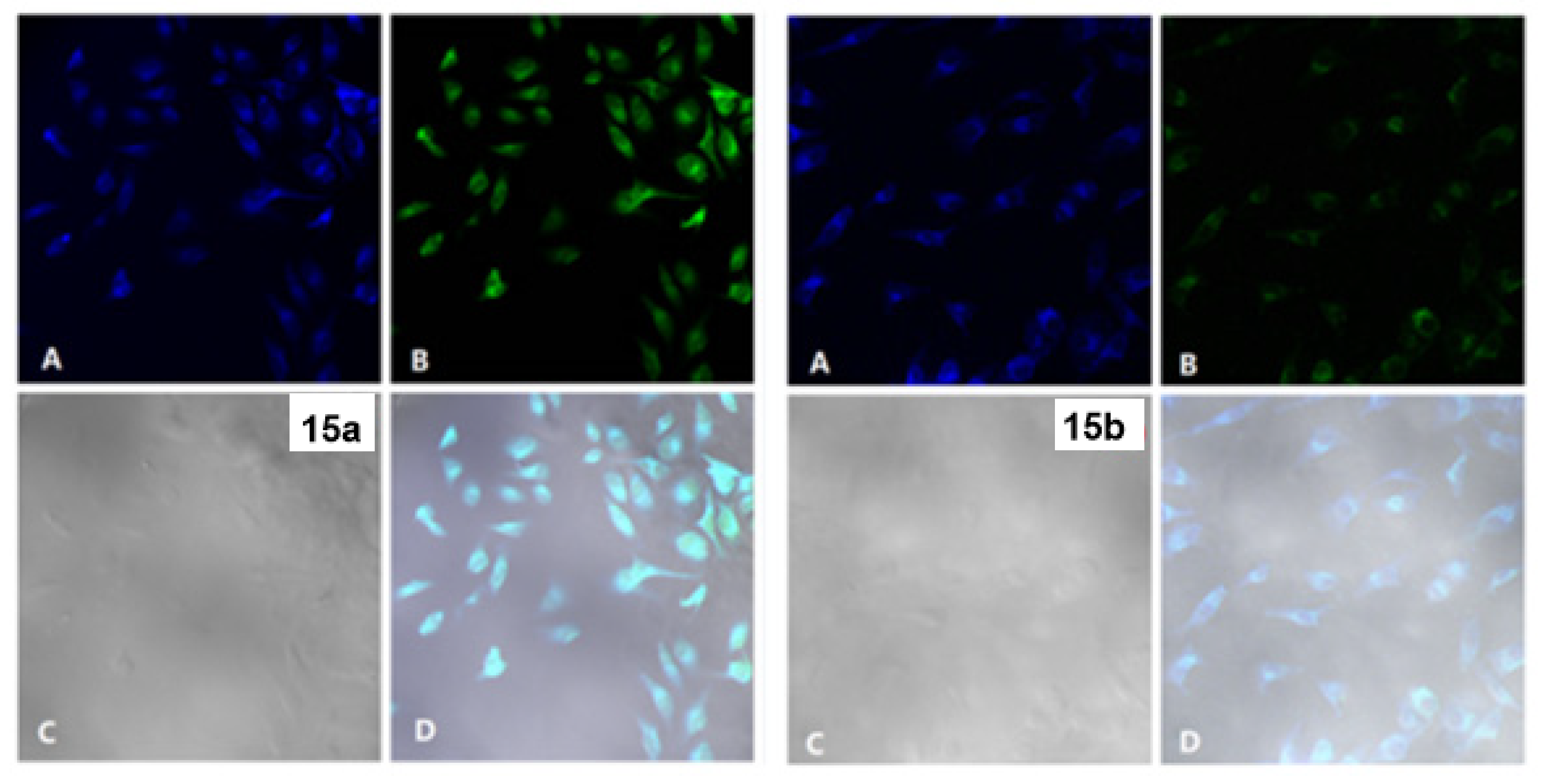 Molecules 28 00733 g013 Molecules 28 00733 g013