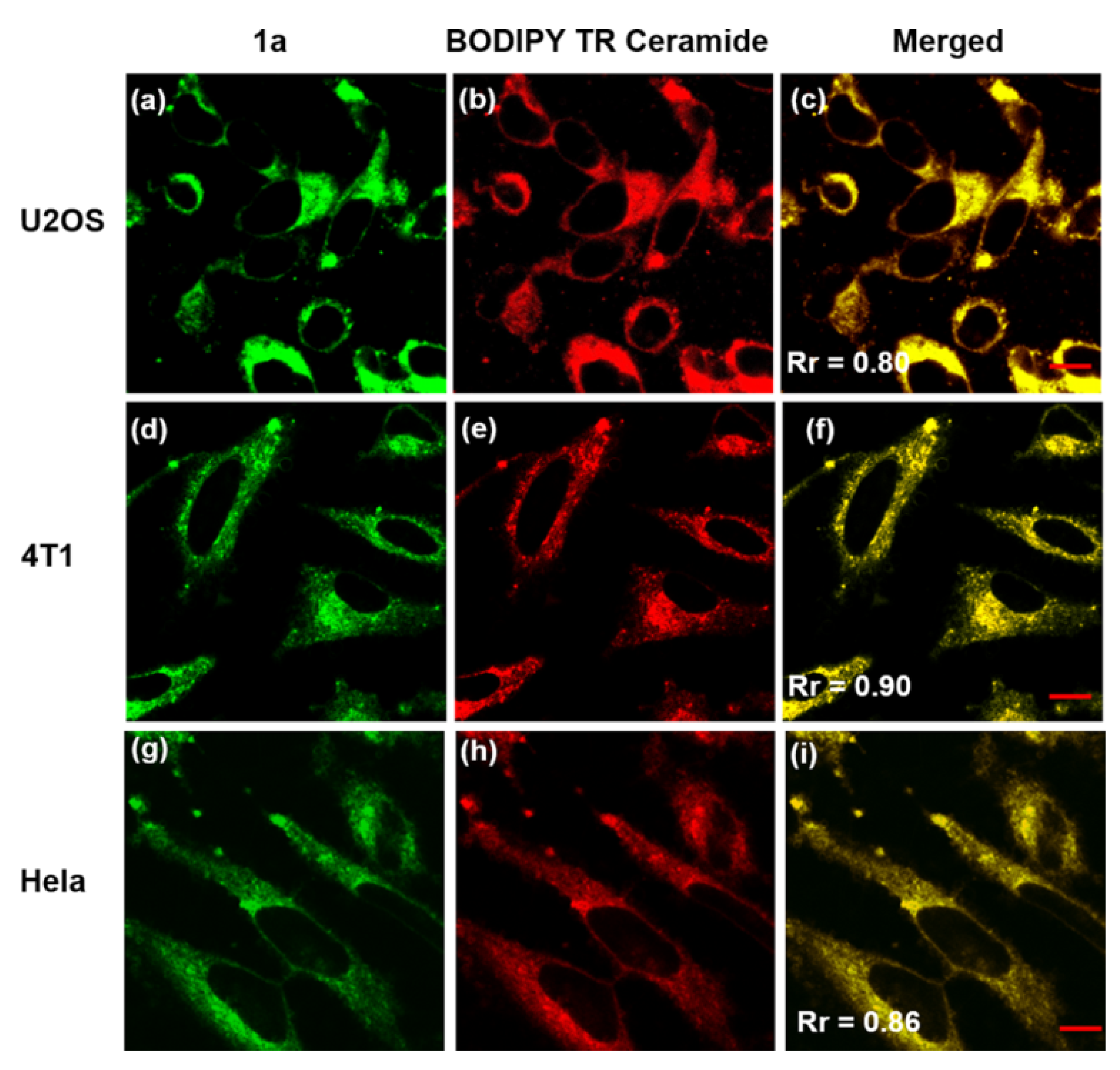 Molecules 28 00733 g018 Molecules 28 00733 g018