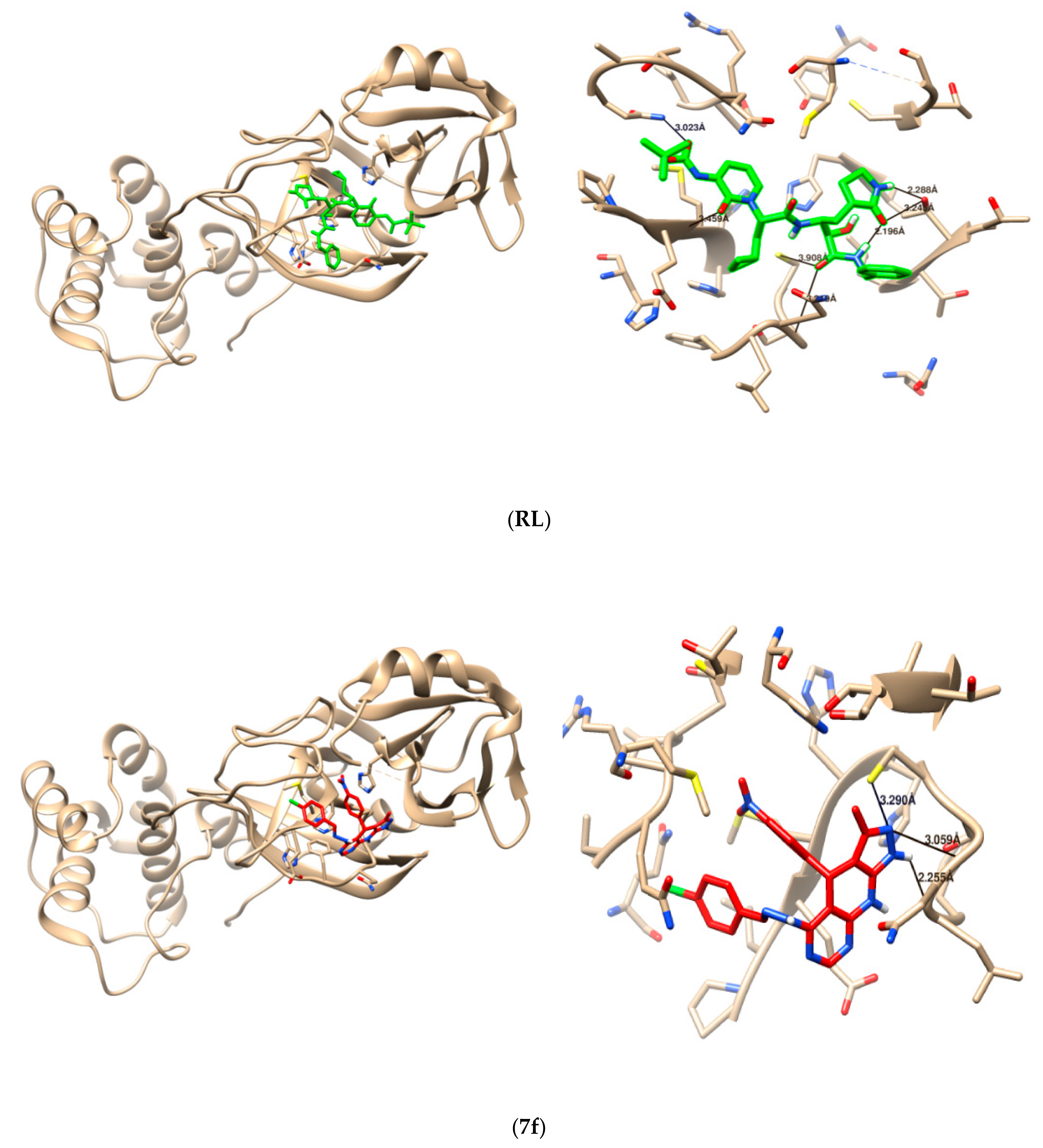 Molecules 28 00739 g004 Molecules 28 00739 g004