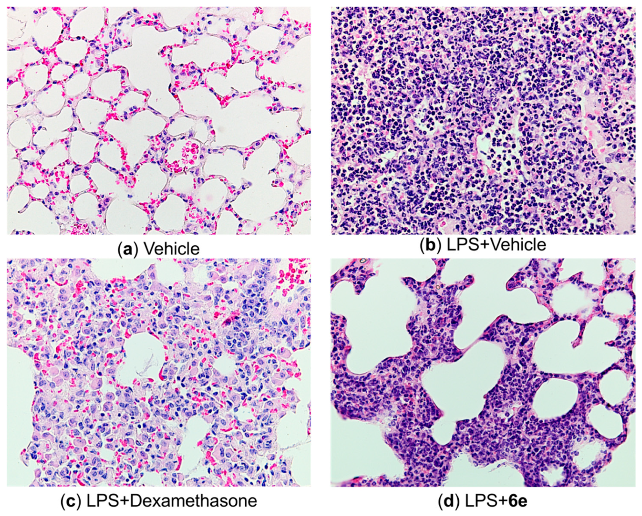 Molecules 28 00741 g006 Molecules 28 00741 g006