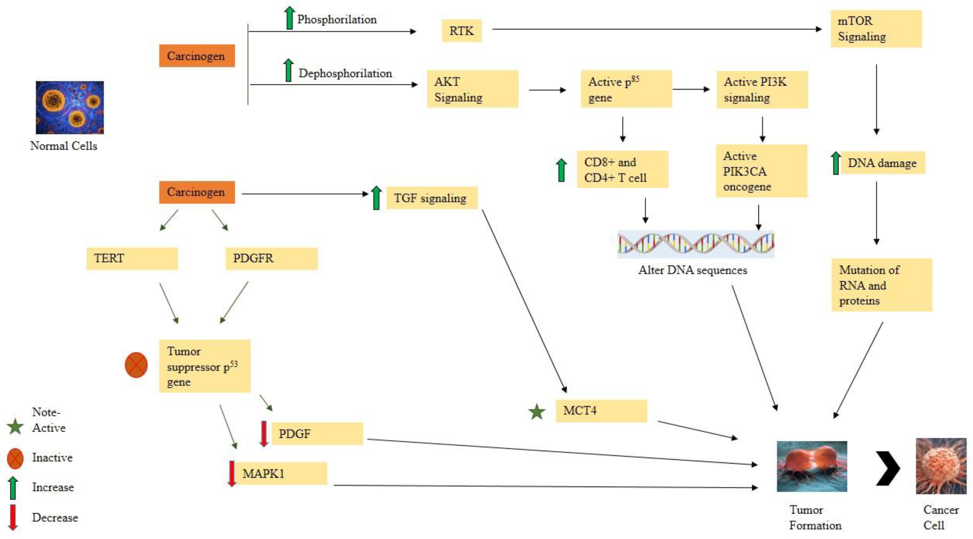 Molecules 28 00750 g002 Molecules 28 00750 g002