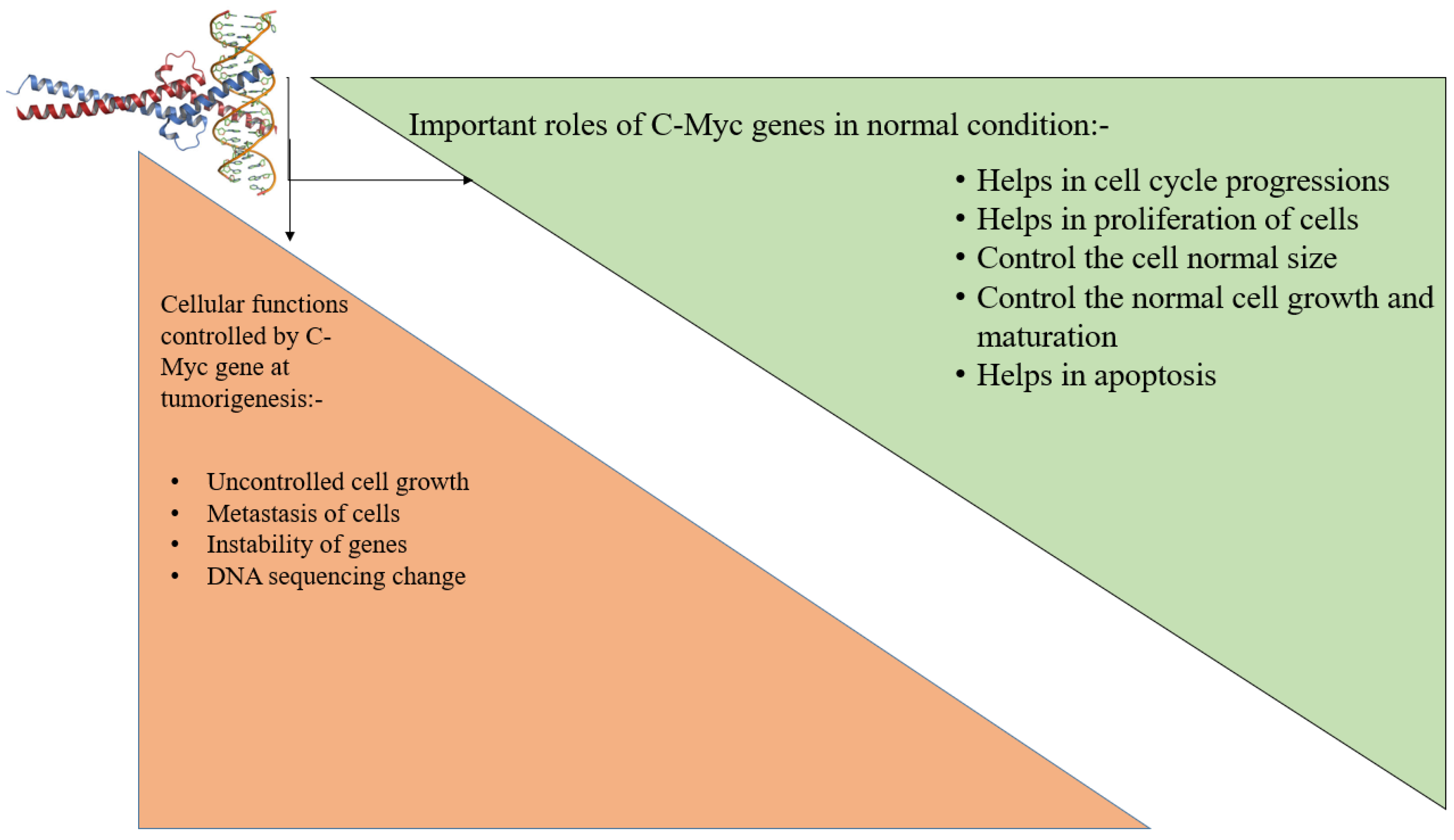 Molecules 28 00750 g003 Molecules 28 00750 g003