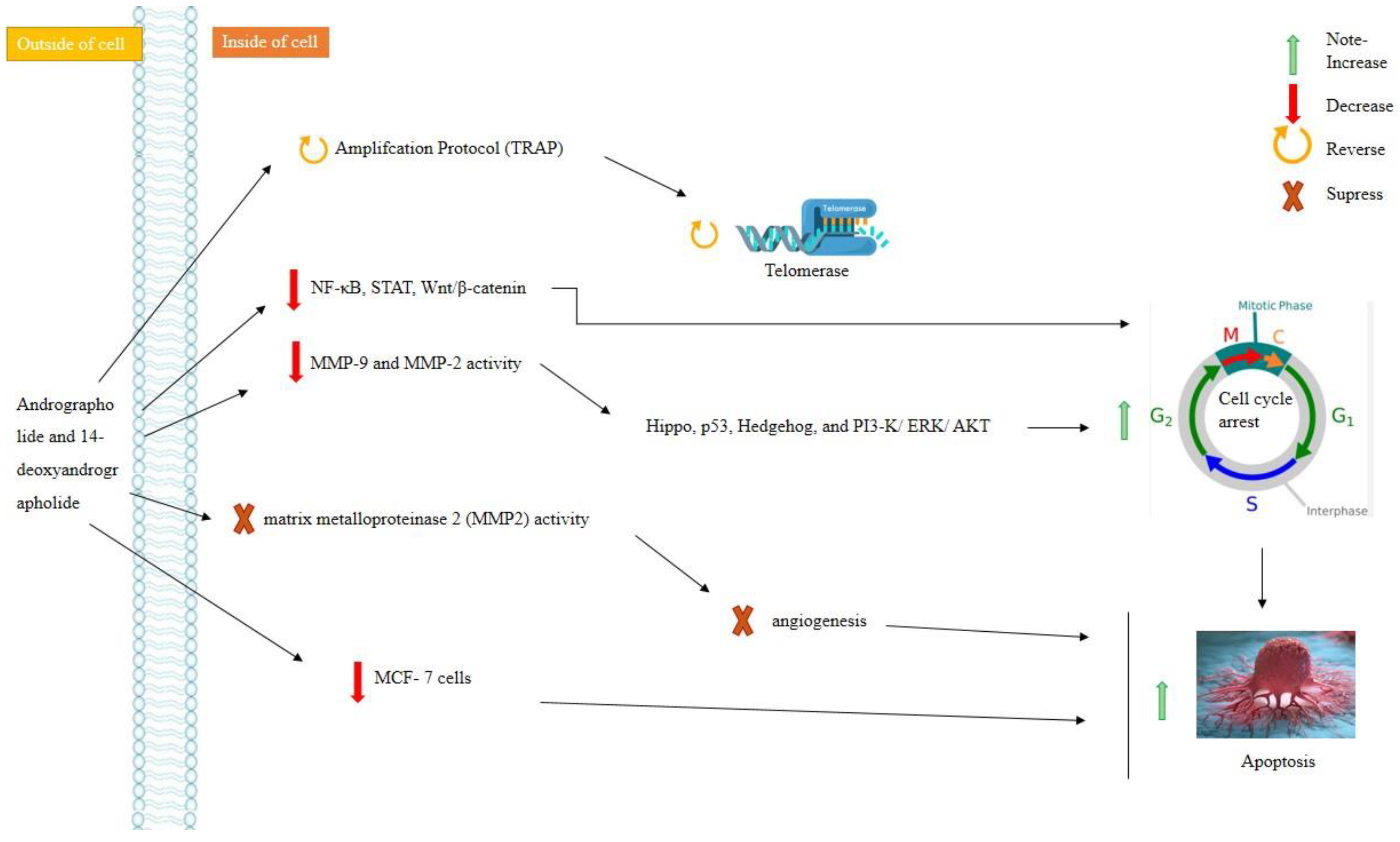 Molecules 28 00750 g005 Molecules 28 00750 g005