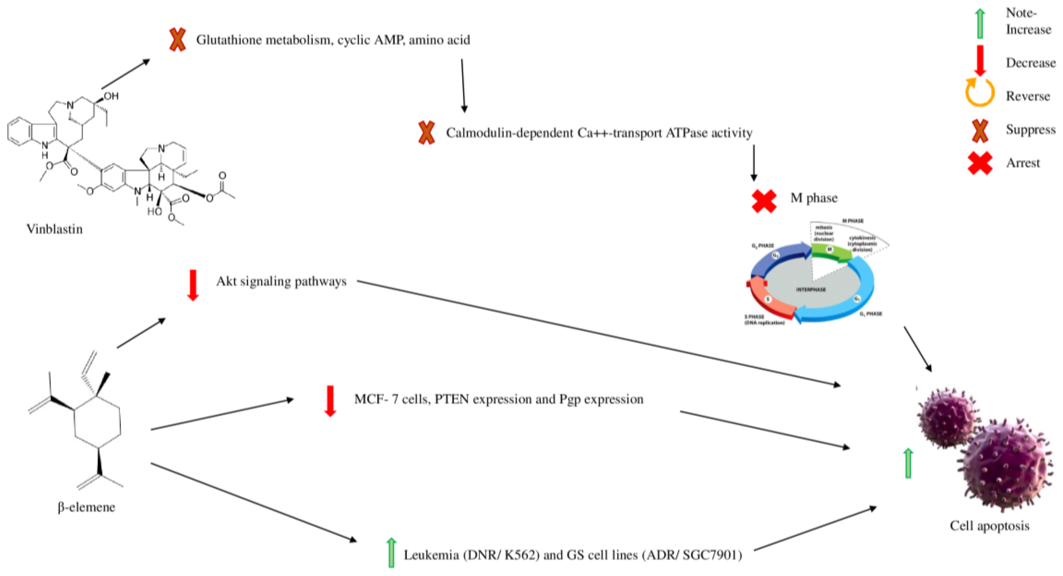Molecules 28 00750 g006 Molecules 28 00750 g006