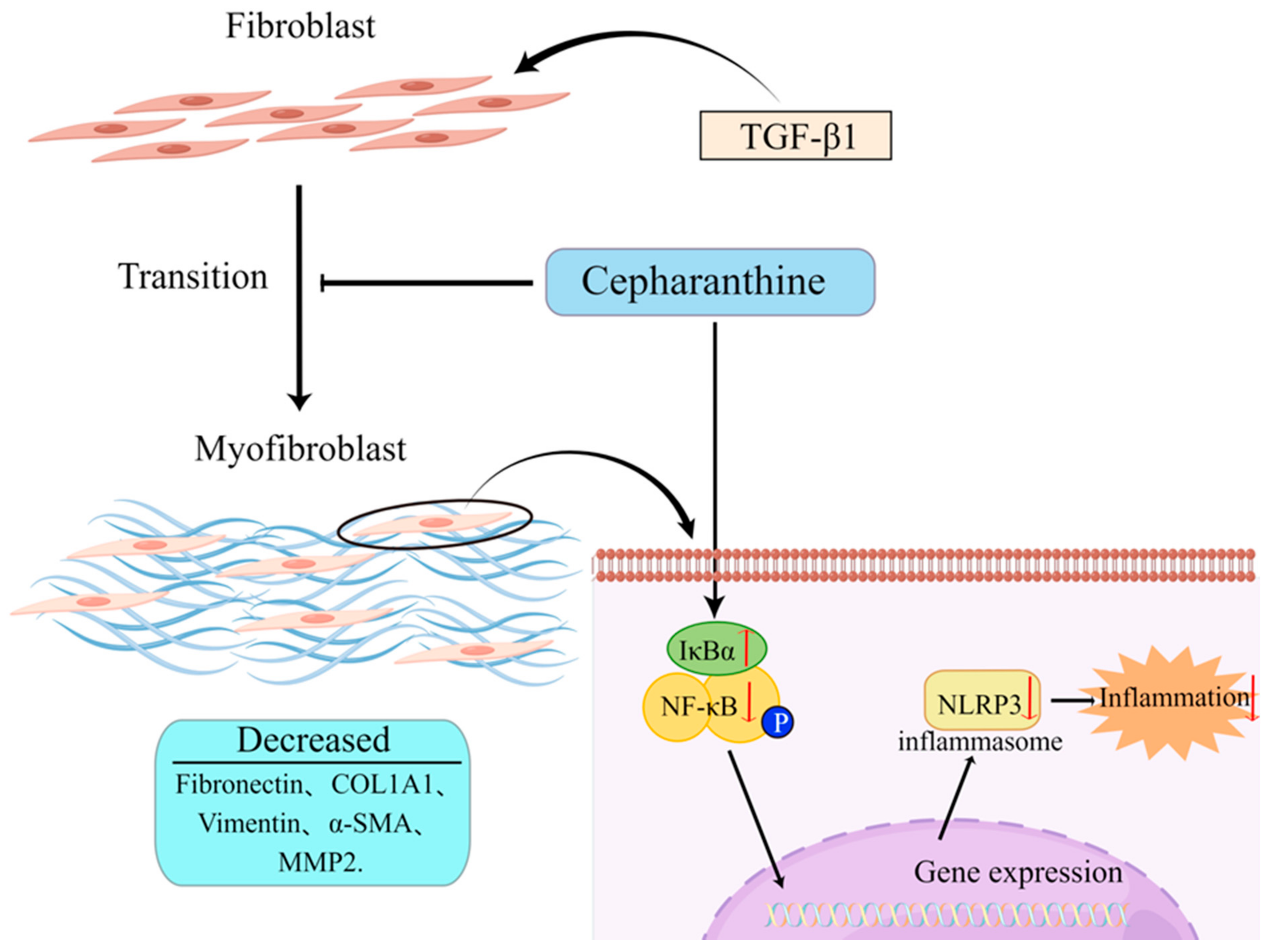 Molecules 28 00753 g005