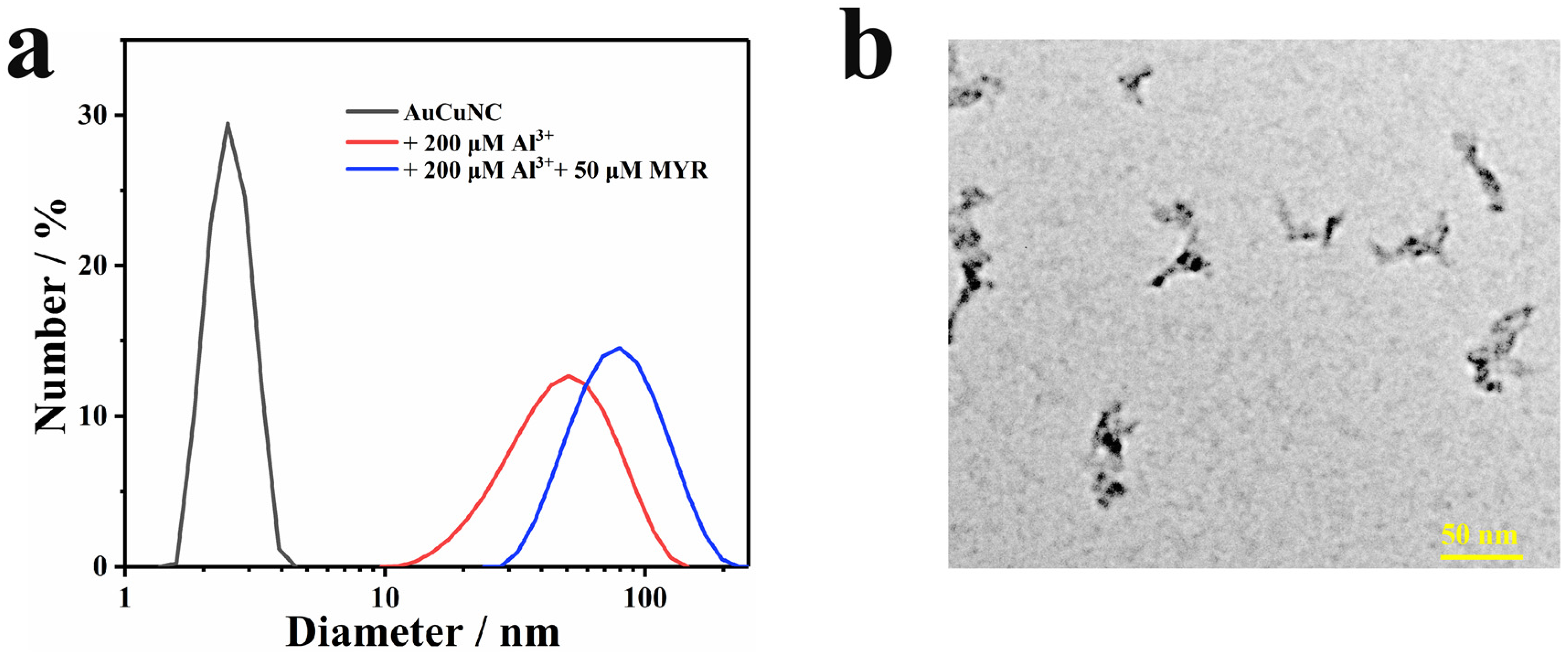 Molecules 28 00758 g004 Molecules 28 00758 g004