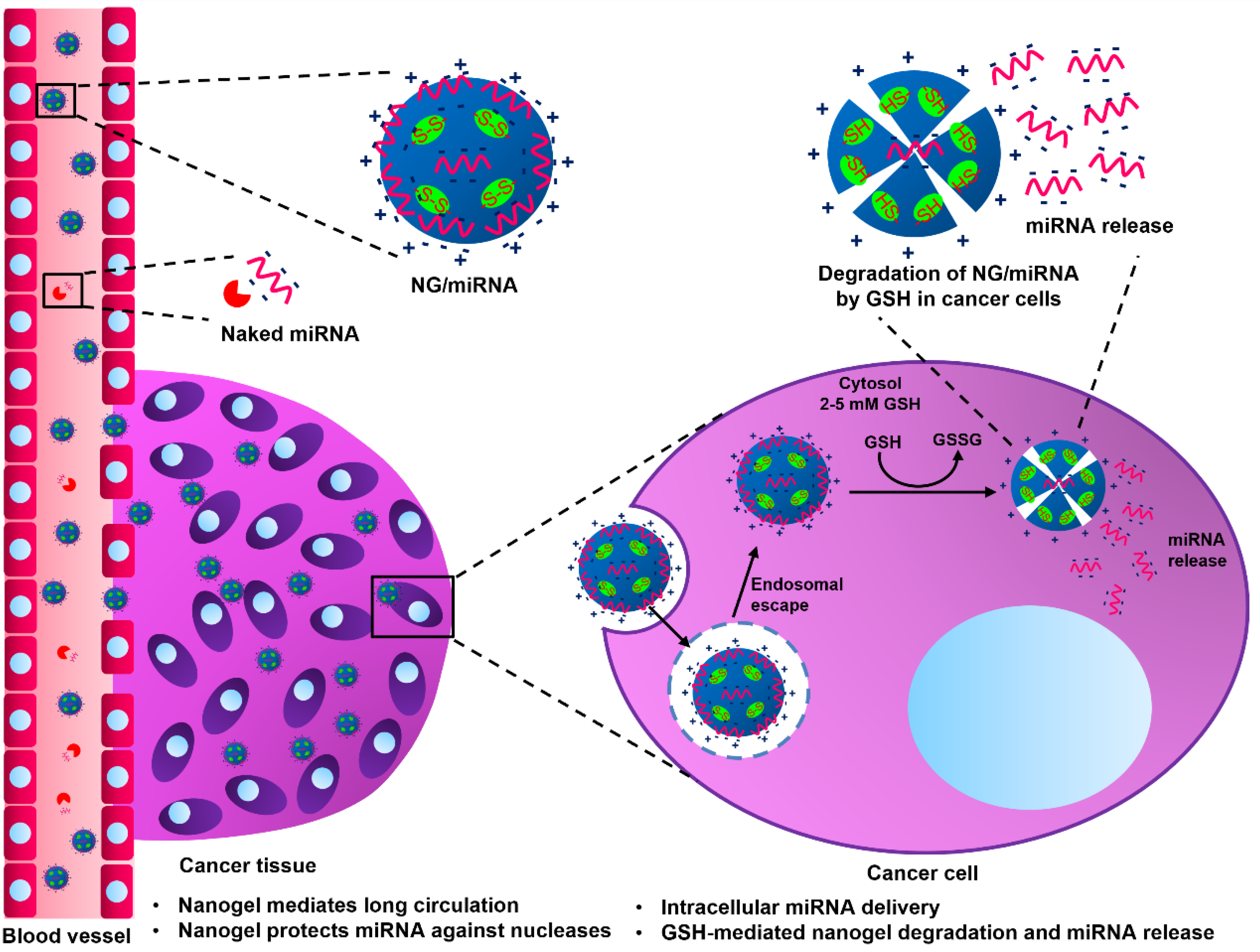 Molecules 28 00761 g001 Molecules 28 00761 g001