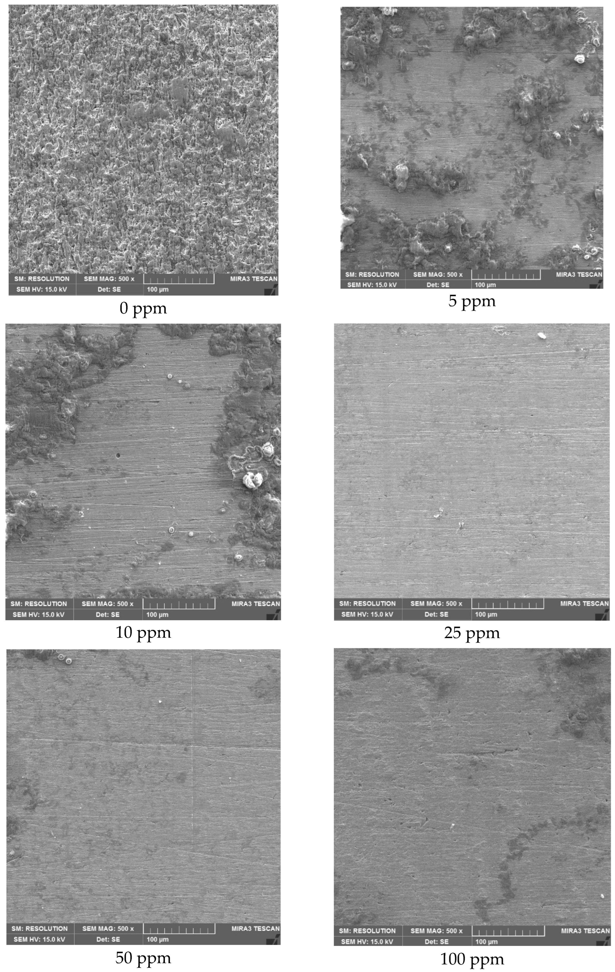 Molecules 28 00763 g003