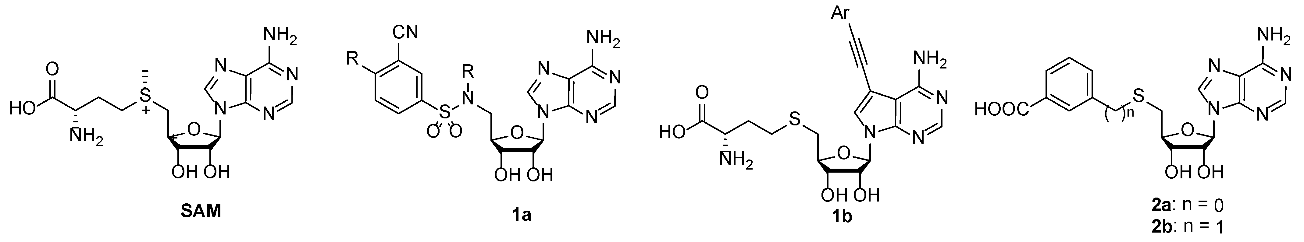Molecules 28 00768 g001