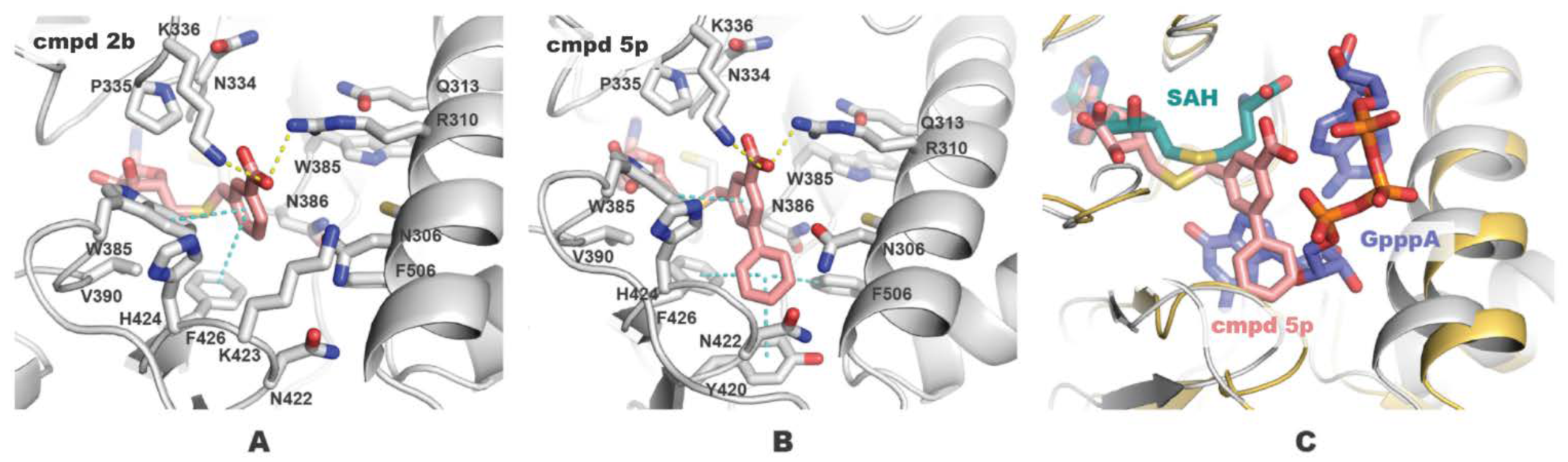 Molecules 28 00768 g002