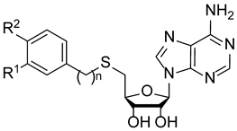 Molecules 28 00768 i001