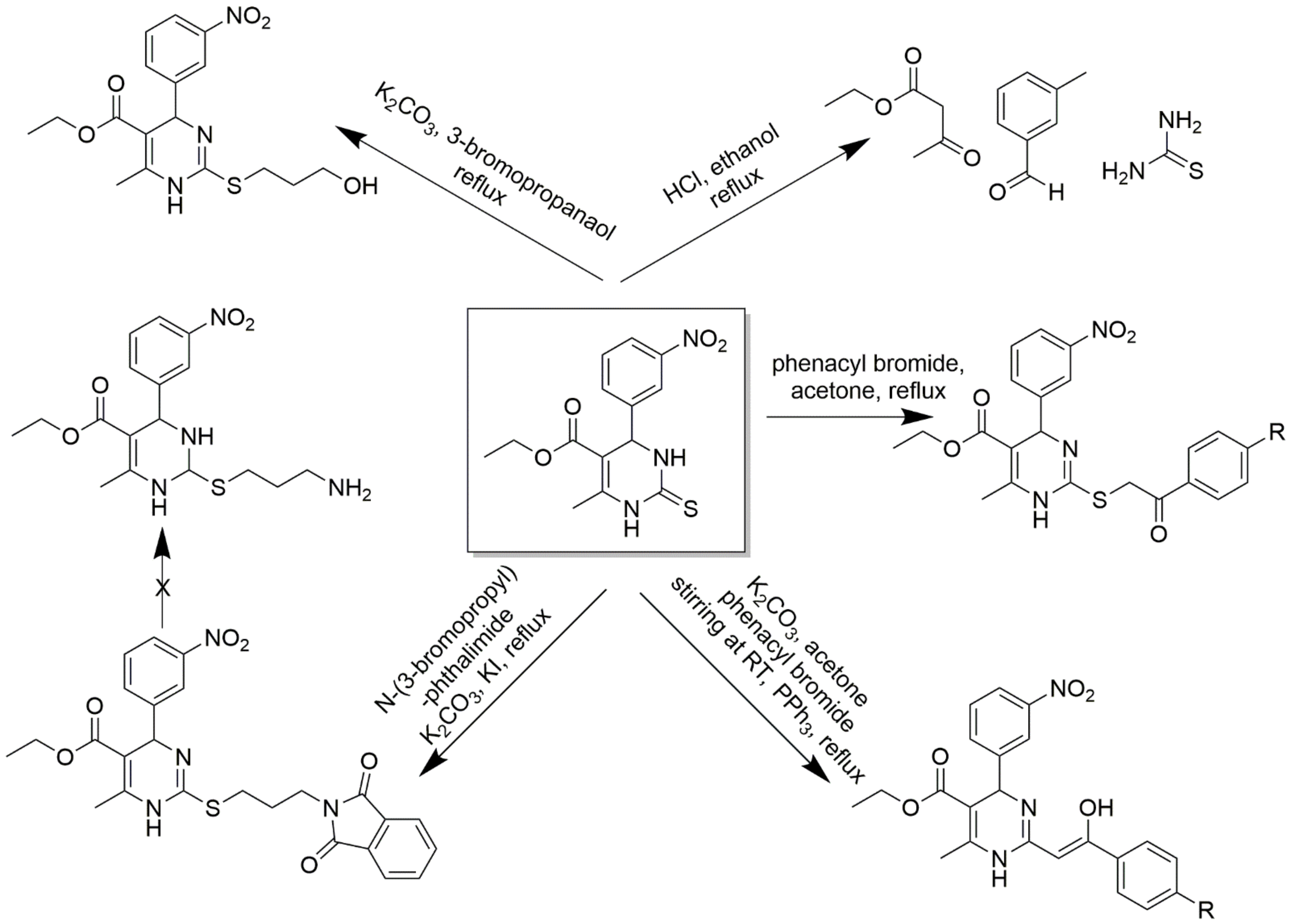 Molecules 28 00784 sch011 Molecules 28 00784 sch011
