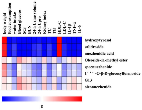 Pharmacodynamics, Pharmacokinetics, and Kidney Distribution