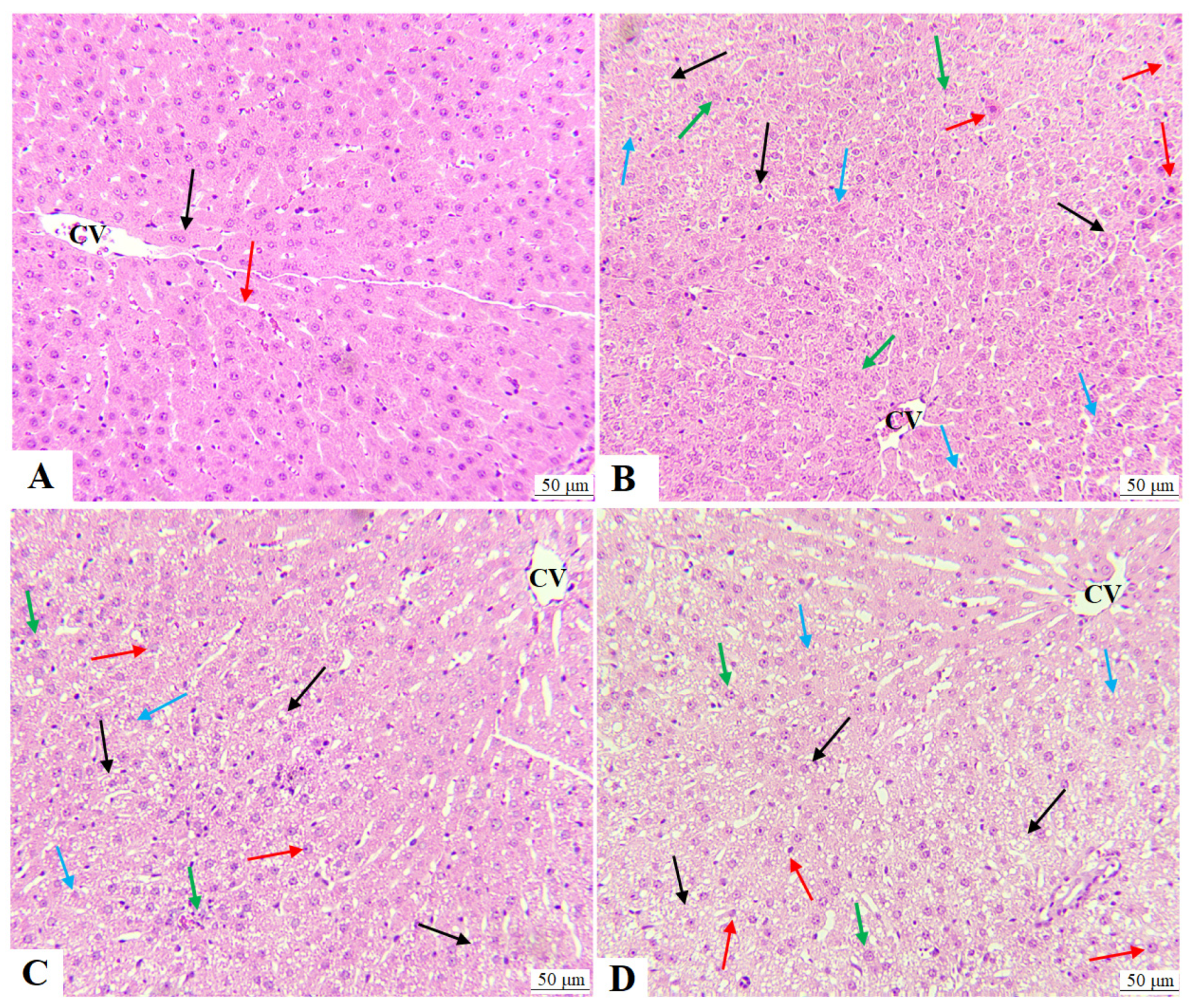 Molecules 28 00796 g002