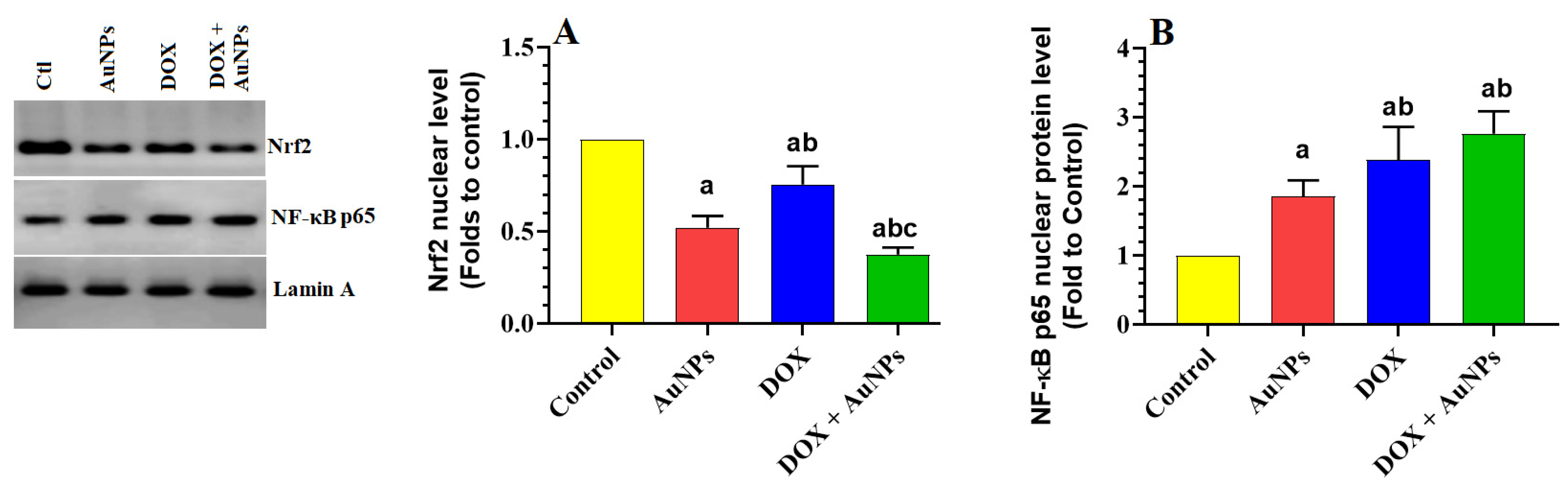 Molecules 28 00796 g005