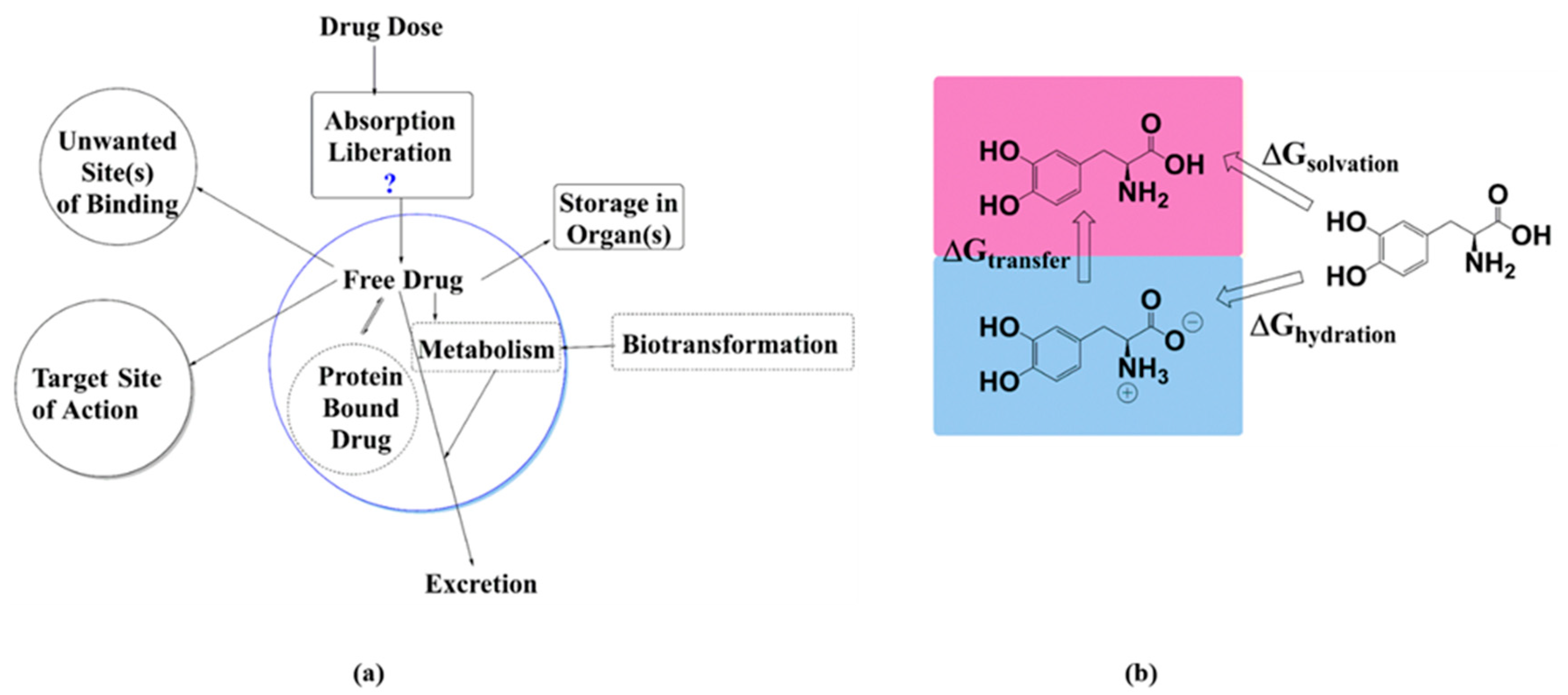 Molecules 28 00801 g001