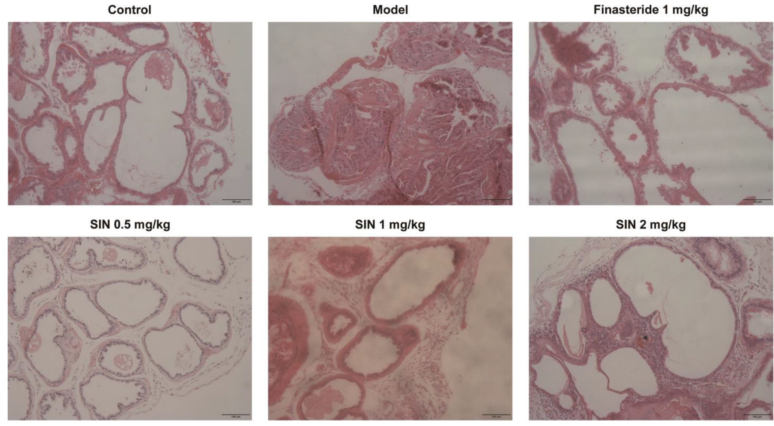 Molecules 28 00803 g005 Molecules 28 00803 g005