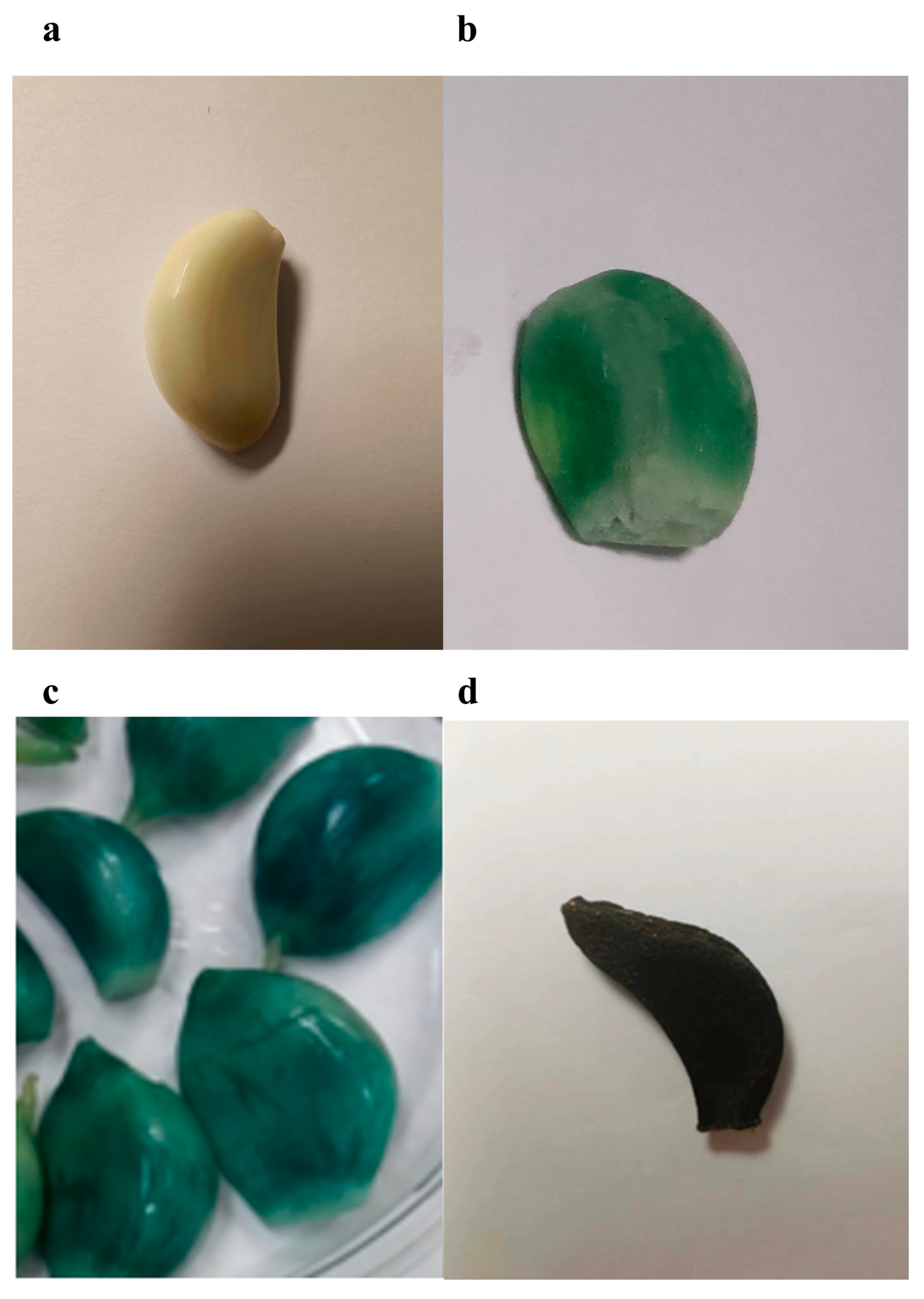 Molecules 28 00804 g003 Molecules 28 00804 g003