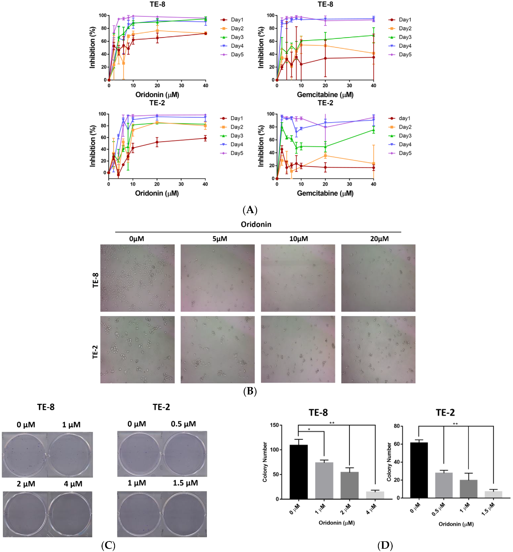 Molecules 28 00805 g002 Molecules 28 00805 g002